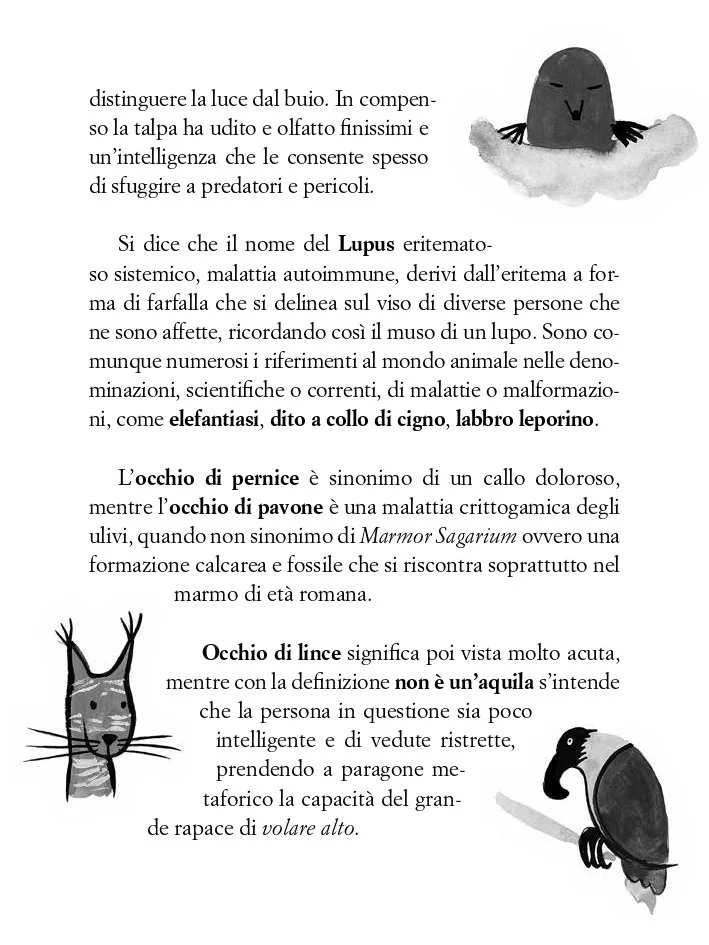 conosco-miei-polli-interno_page-0011.jpg
