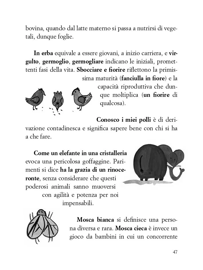 conosco-miei-polli-interno_page-0047.jpg