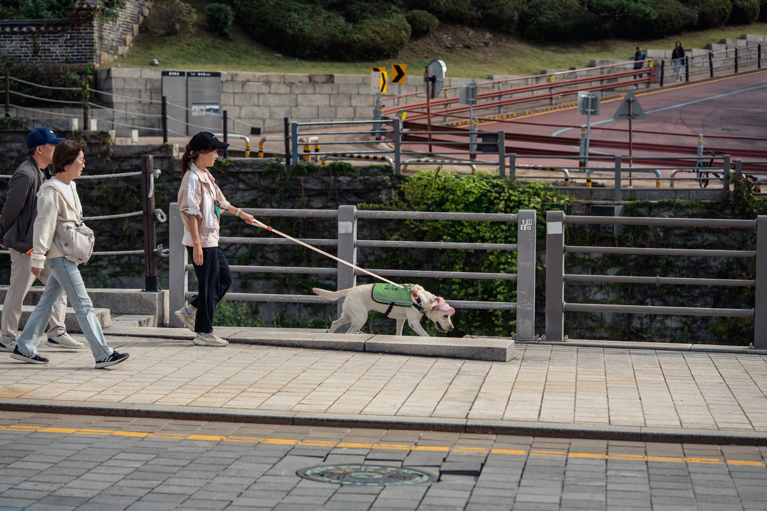 499-DSC06382.jpg