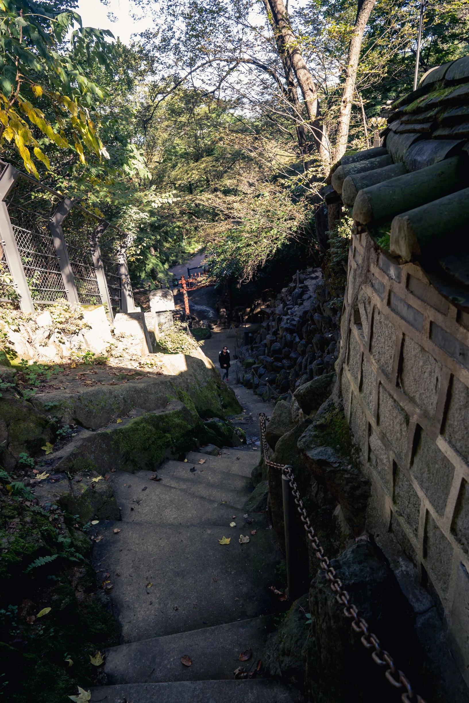 350-DSC02897.jpg