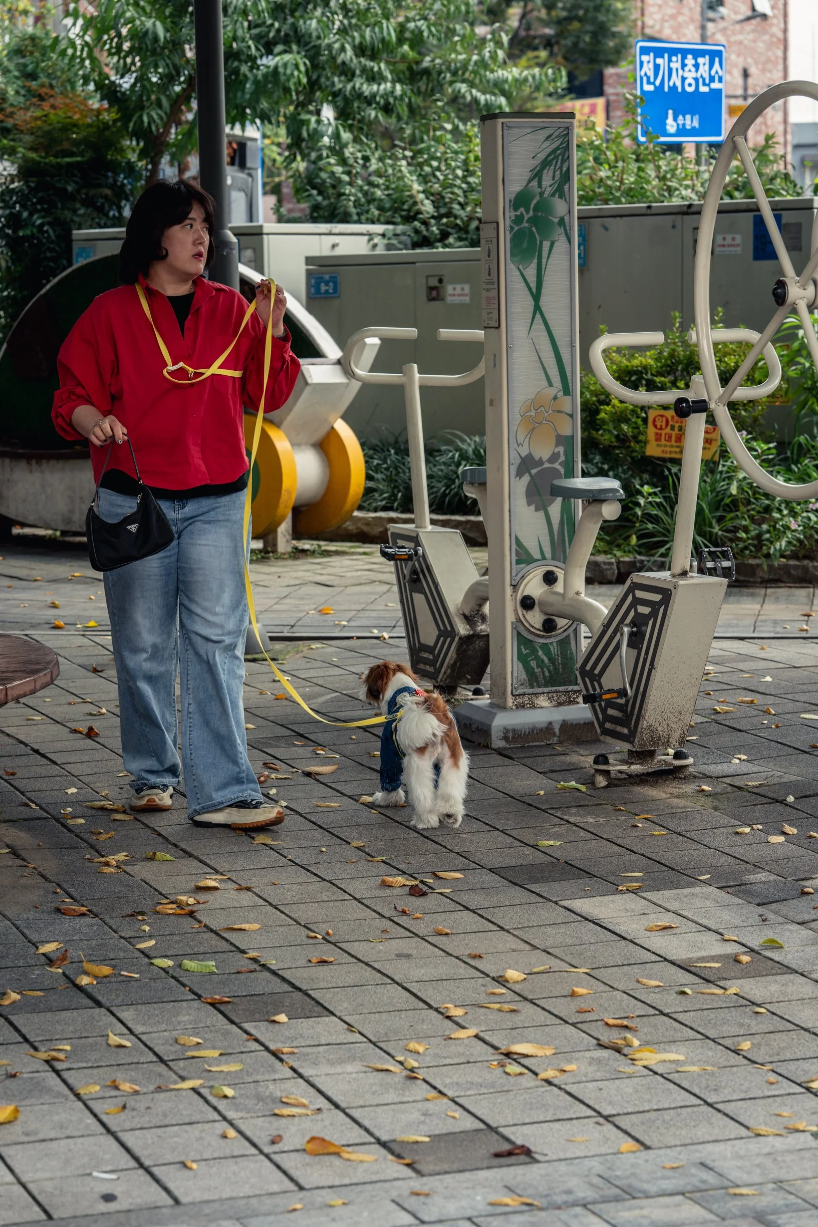 510-DSC06389.jpg