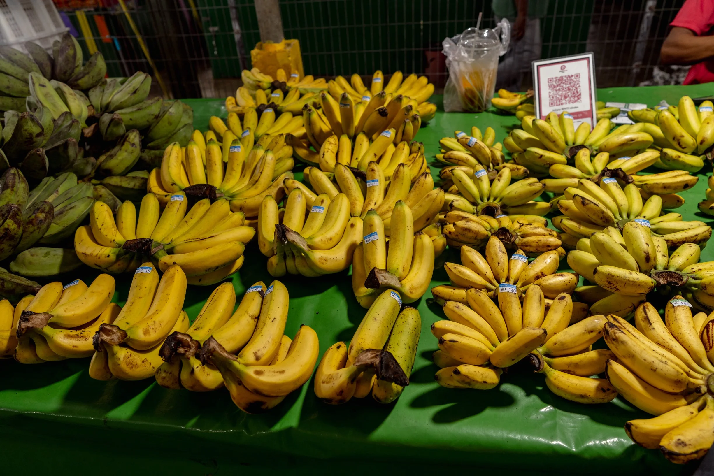 121-DSC01658.jpg
