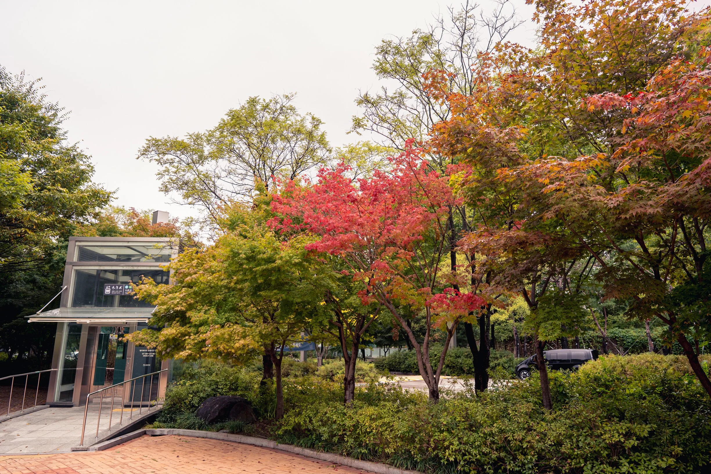 402-DSC03004.jpg