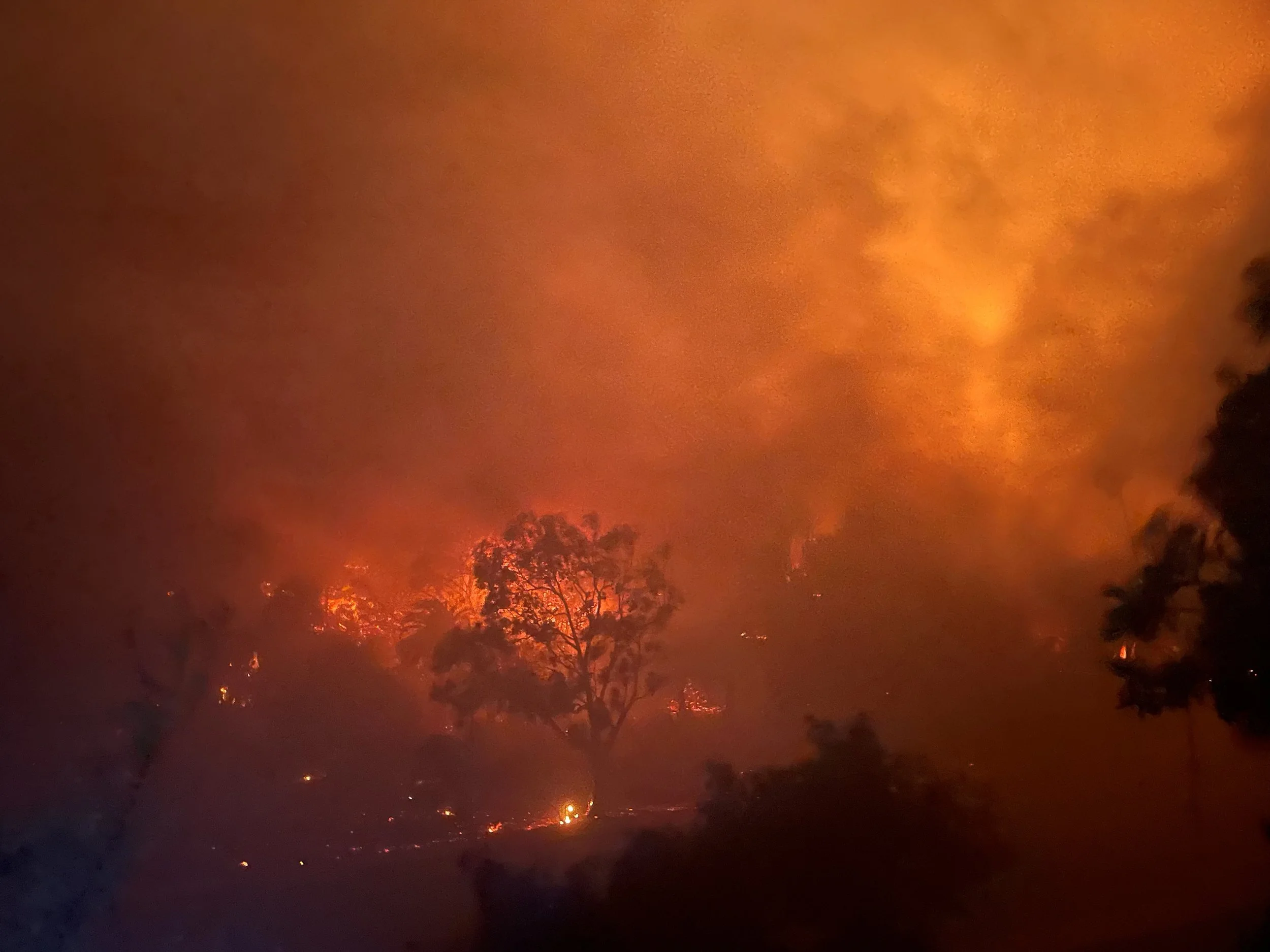 The Palisades Fire burns into the hills of the Pacific Palisades on January 7, 2025.

 Photo Credit: Clay Bush