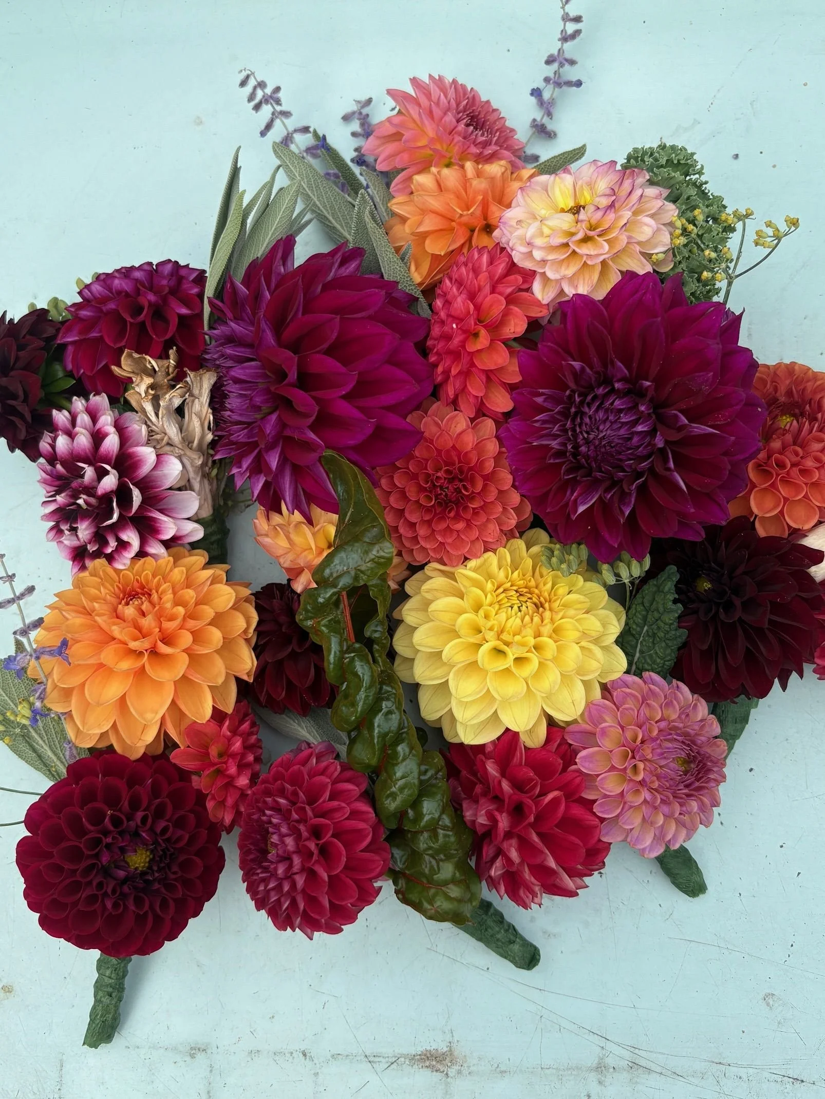 Mixed dahlias and greenery laid out on table.