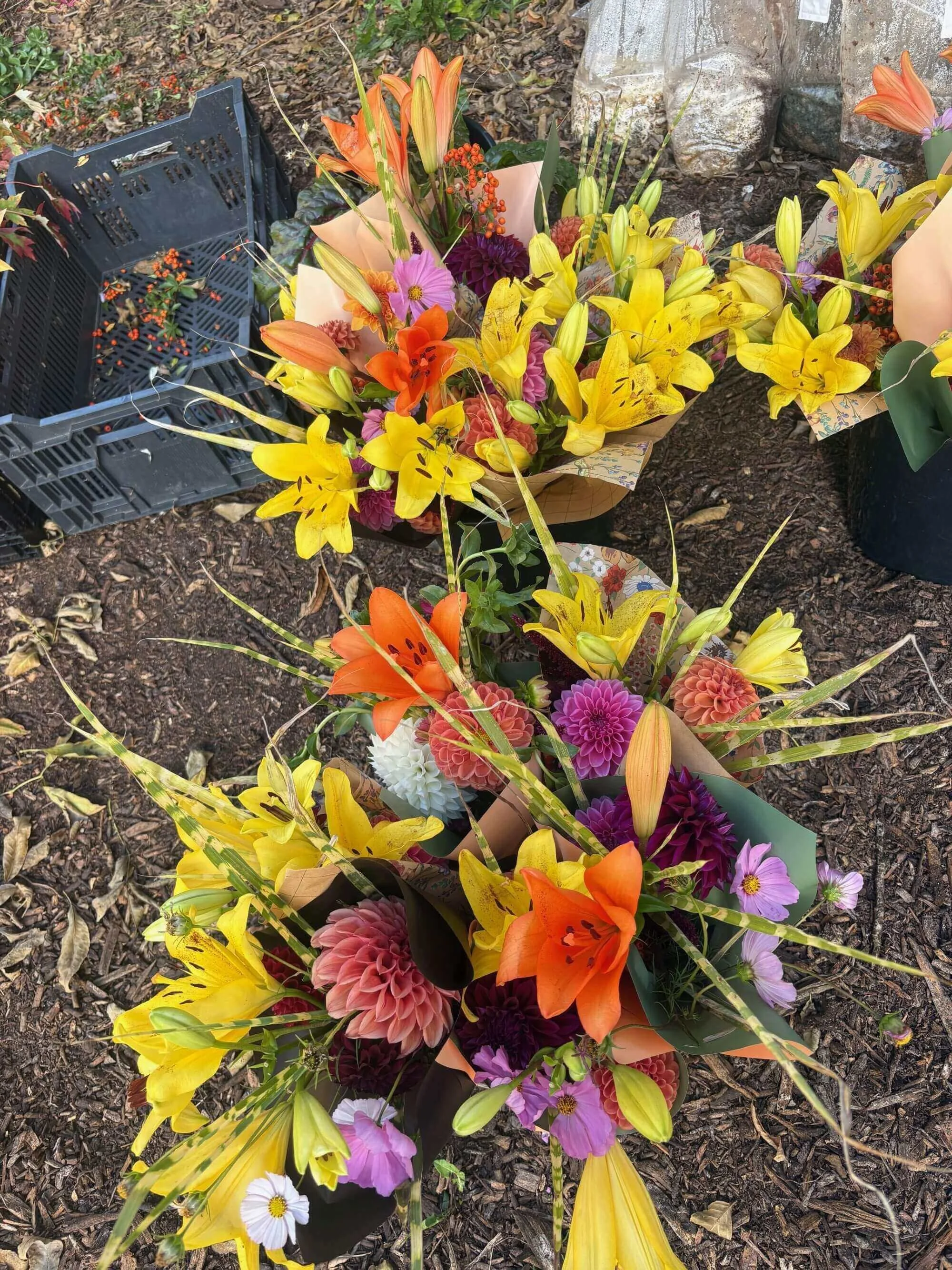 Seasonal flower bundles prepared for arranging.