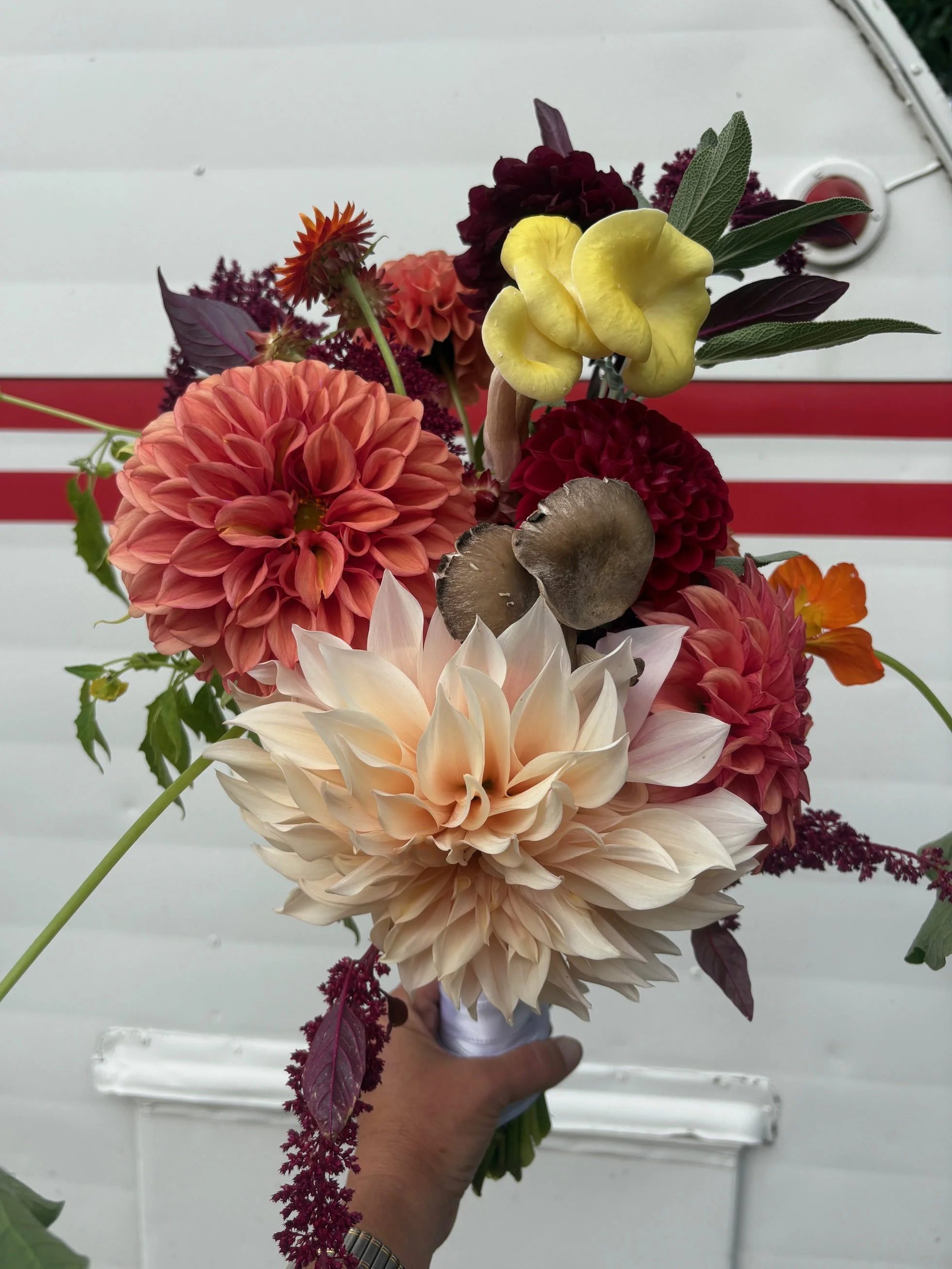 Seasonal wedding bouquet with dahlias, foliage, and mushrooms held in hand.