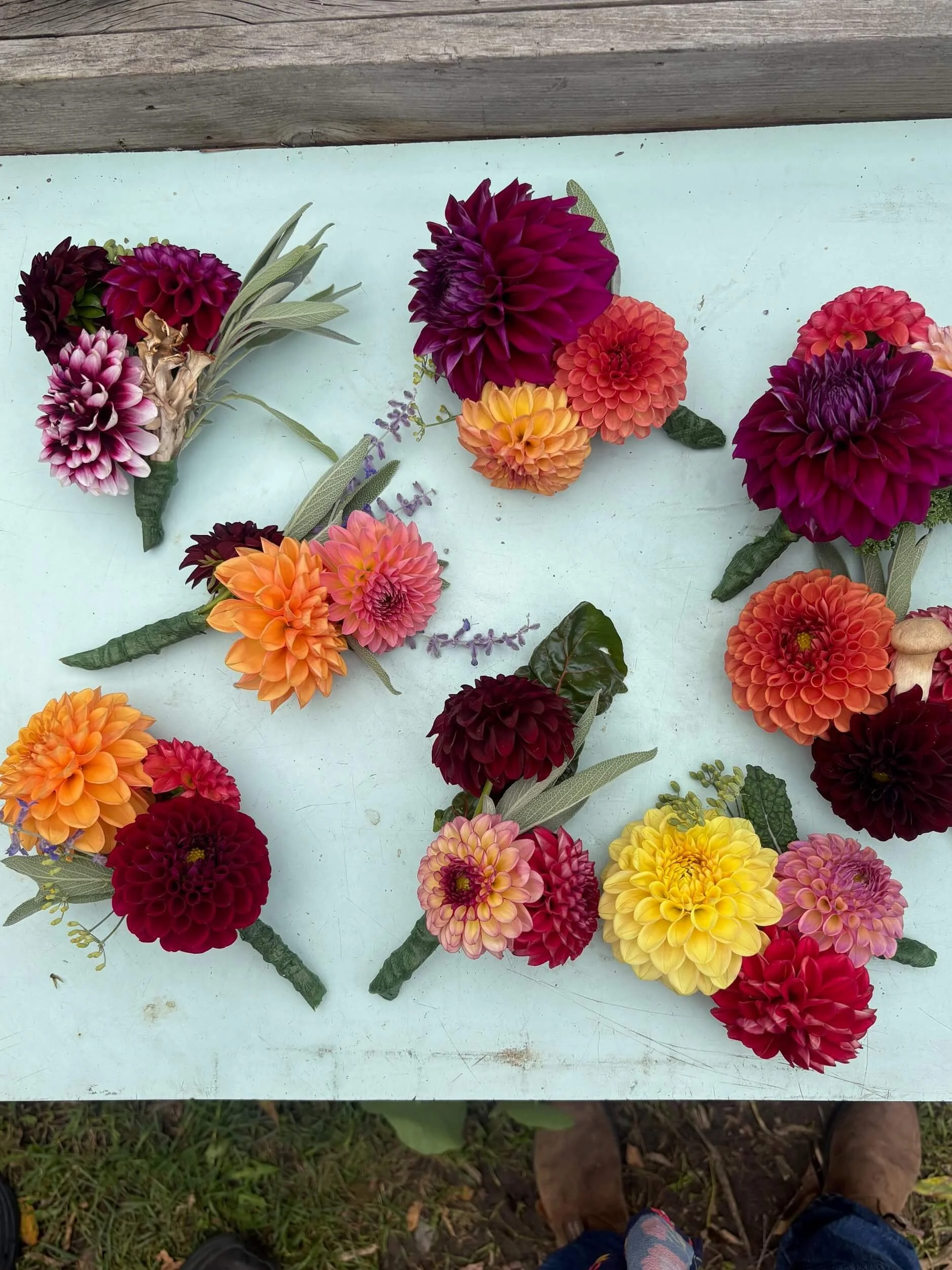 Seasonal dahlia boutonnieres with greenery and mushrooms arranged on a table.