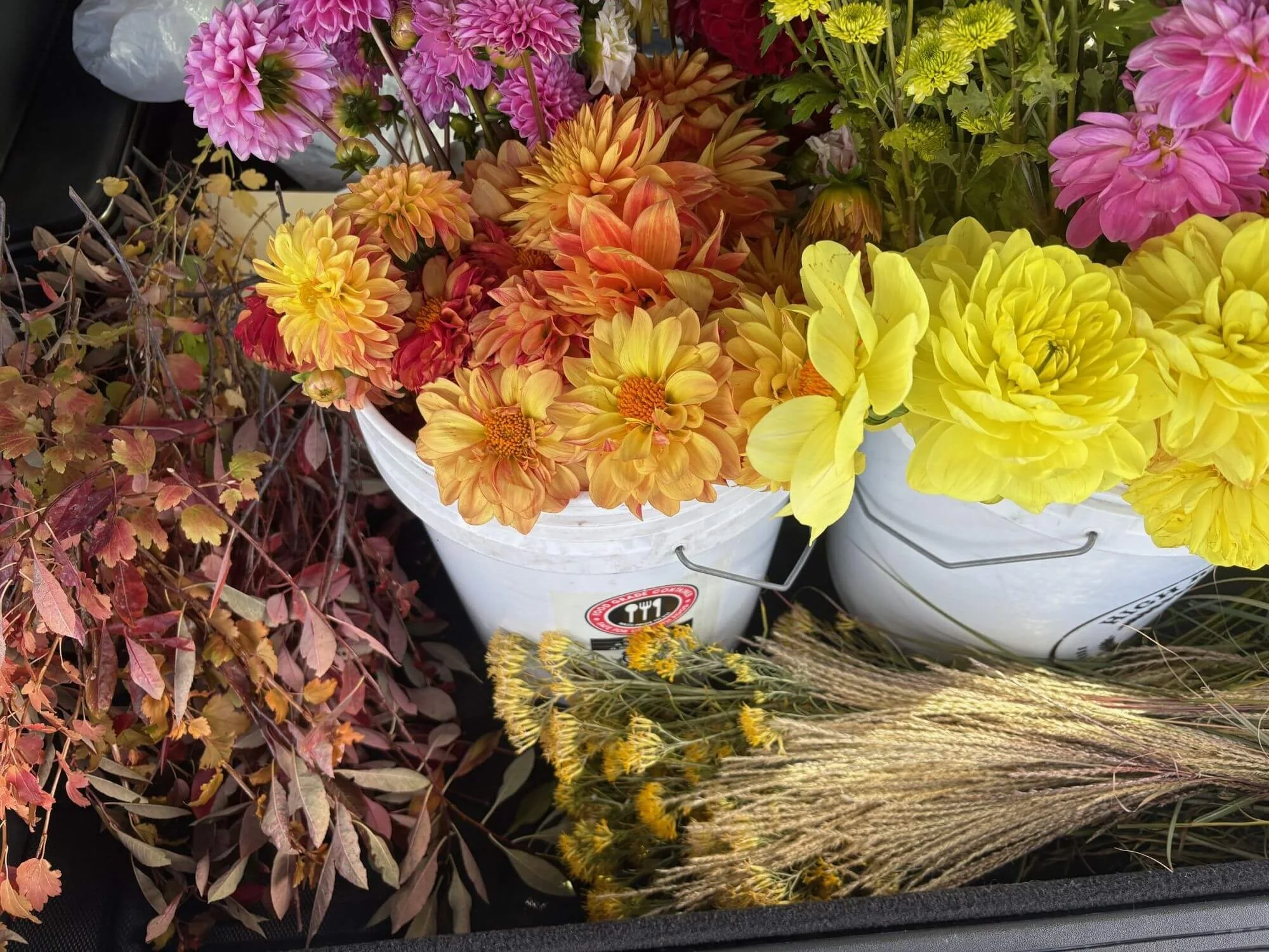 
Buckets of freshly harvested flowers and foliage gathered for floral arranging.