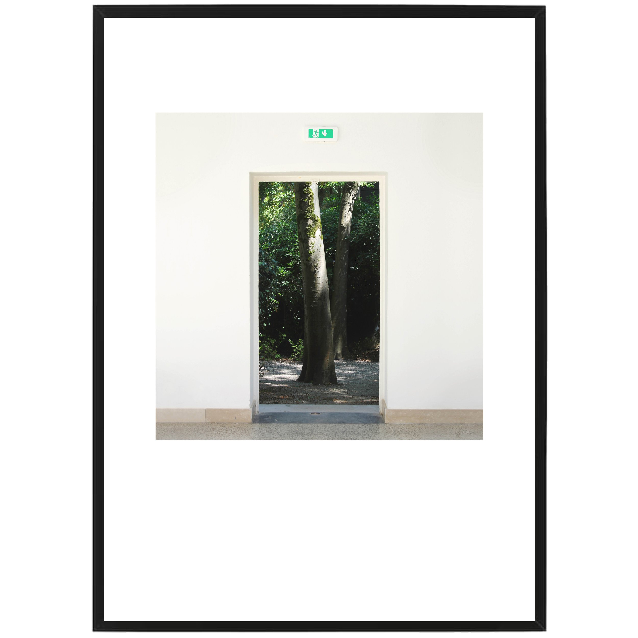 limited edition framed exit.jpg
