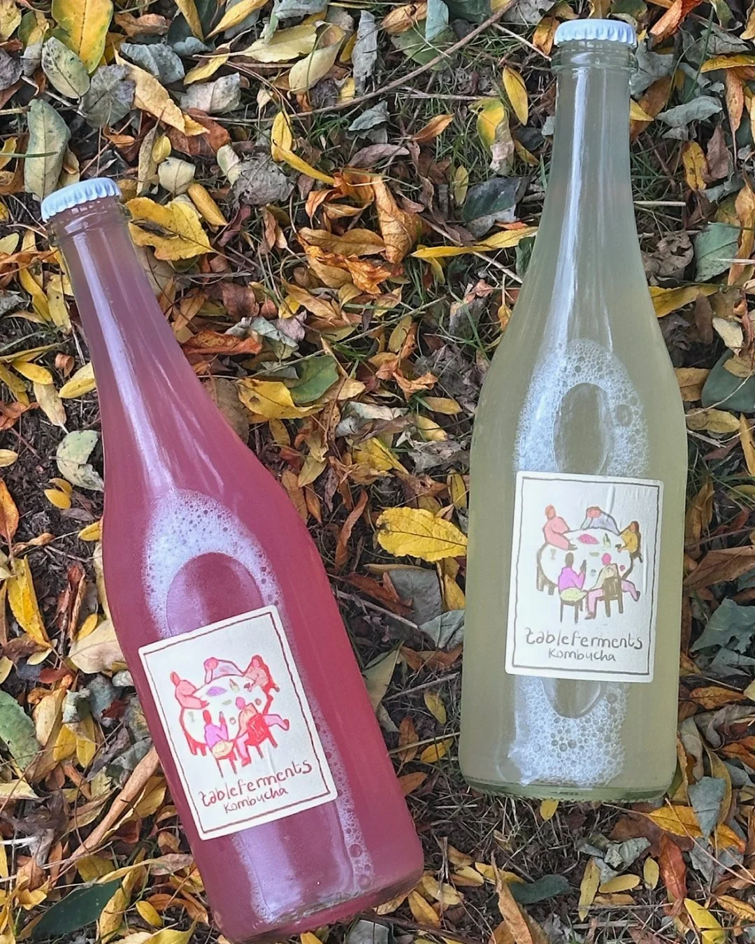 Frisk, perlende og fyldt med gode bakterier – lige som vi kan li’ det!
Den fås i flere varianter, alle brygget med kærlighed og omtanke 💛
Kom forbi Bette og smag på den sprudlende drik – perfekt til en rolig s