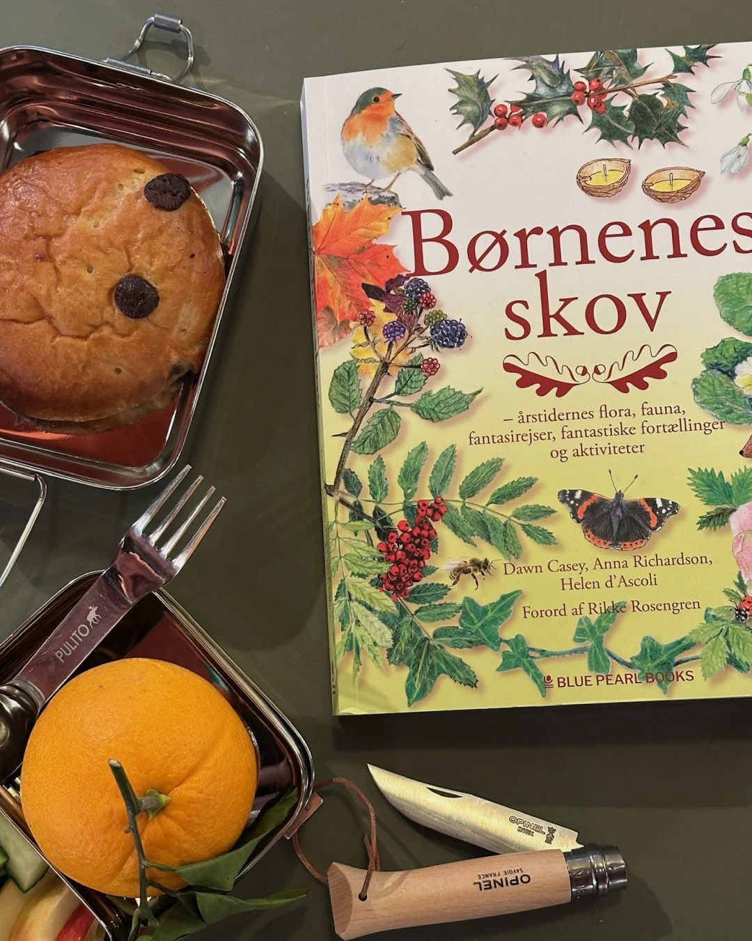 🌿Weekendanbefaling: 
Trods gr&aring;vejr og st&oslash;vregn og tag b&oslash;rnene med p&aring; en frisk januar-tur! 🐾⁠
Lad dem l&oslash;be, lege og opdage naturen &ndash; perfekt til bev&aelig;gelse, frisk luft og lidt skovmagi.⁠
⁠
Husk varme sokke