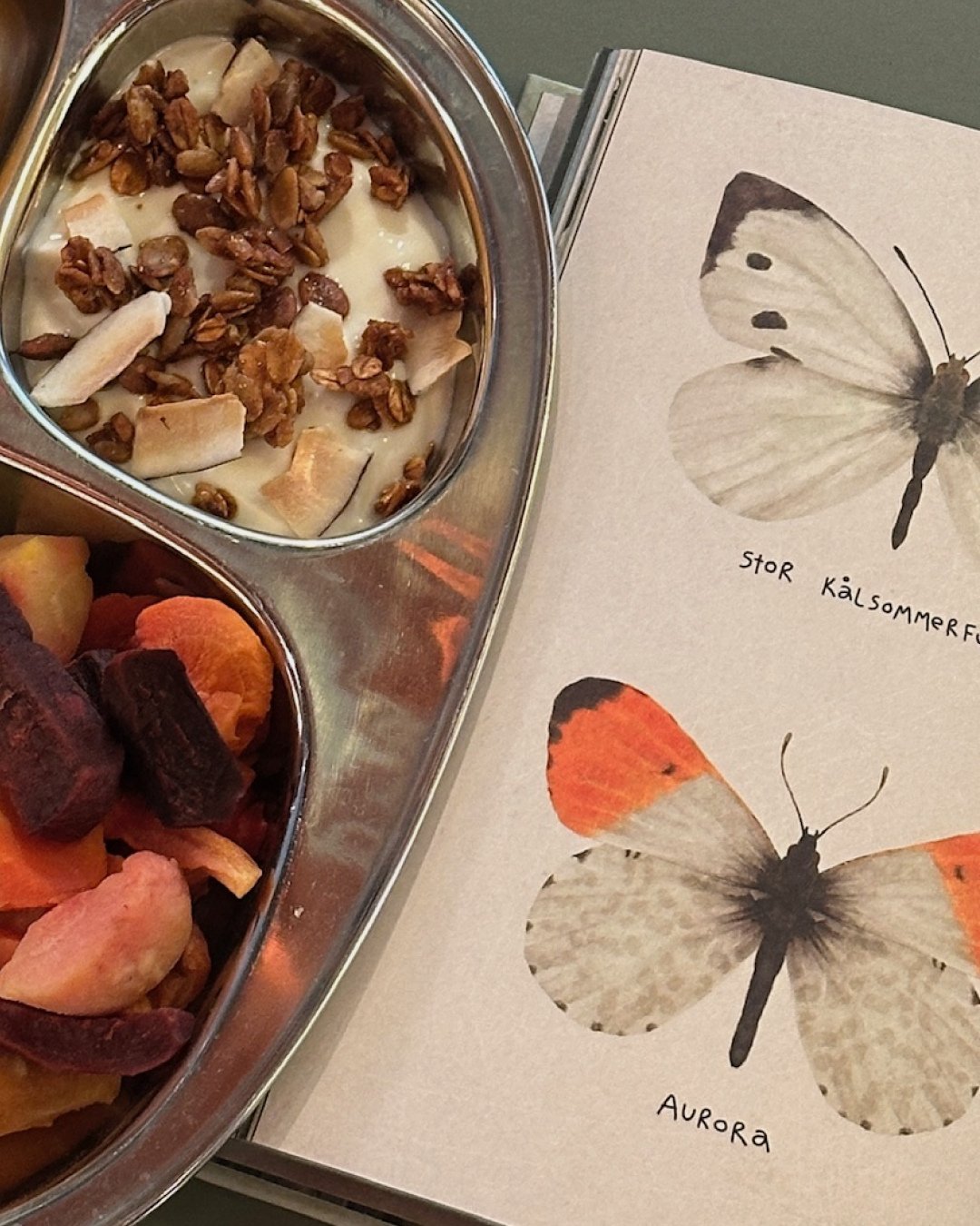 For&aring;ret er p&aring; vej 🌿⁠
Perfekt tid til sm&aring; opdagelser i naturen.⁠
⁠
Pr&oslash;v at tale med b&oslash;rnene om:⁠
🦋 Sommerfugle⁠
🌱 Nye planter⁠
🐞 Sm&aring; dyr i jorden⁠
⁠
Skal I med ud og udforske? 🔎