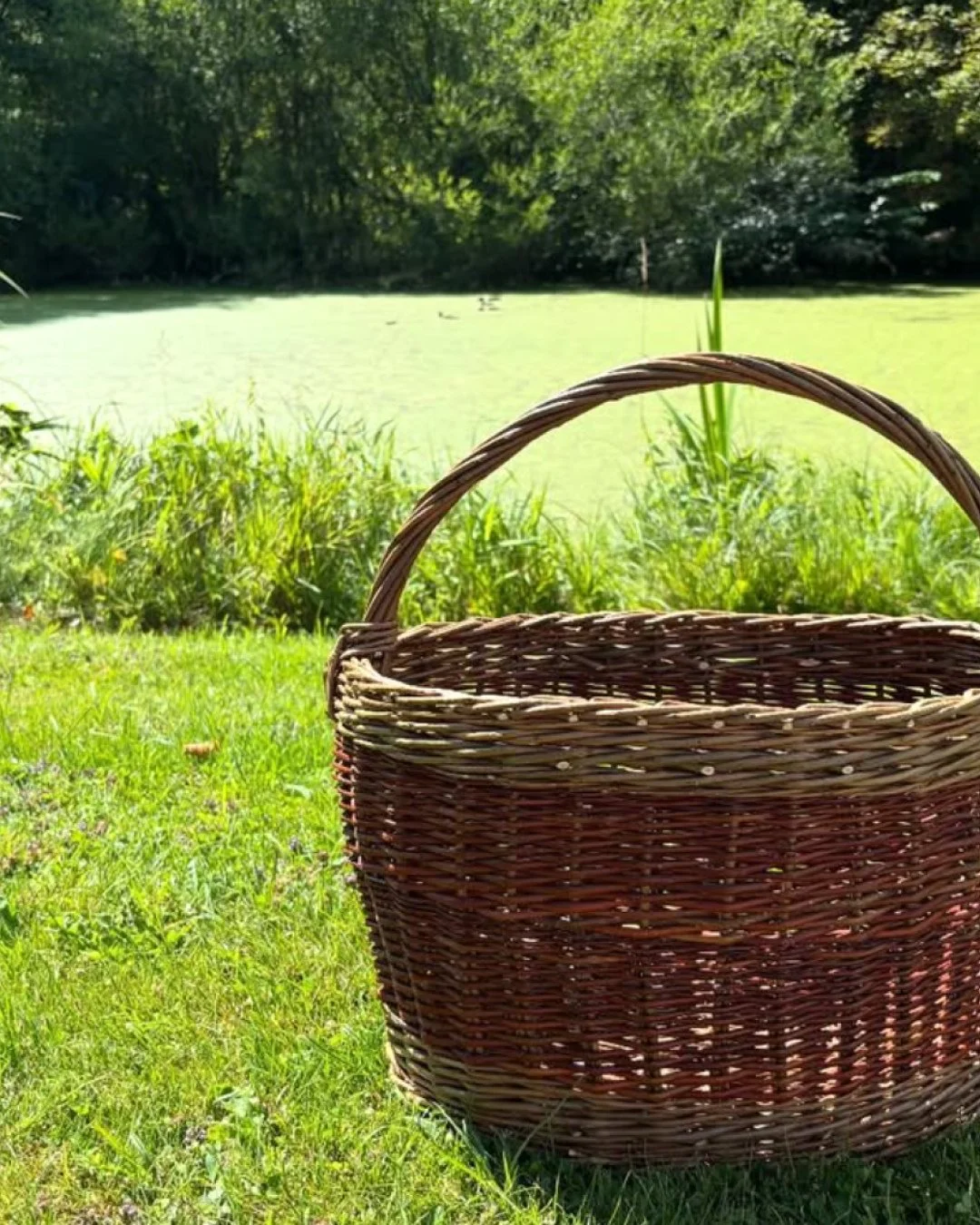 🌿 Pileflet hos Bette 🌿⁠
⁠
Kom med til to rolige og kreative sommerdage, hvor du l&aelig;rer at flette din egen kurv &ndash; i hyggelige, udend&oslash;rs omgivelser 🤍⁠
⁠
Kurset er barselsvenligt og kr&aelig;ver ingen erfaring.⁠
Undervist af Lene fr