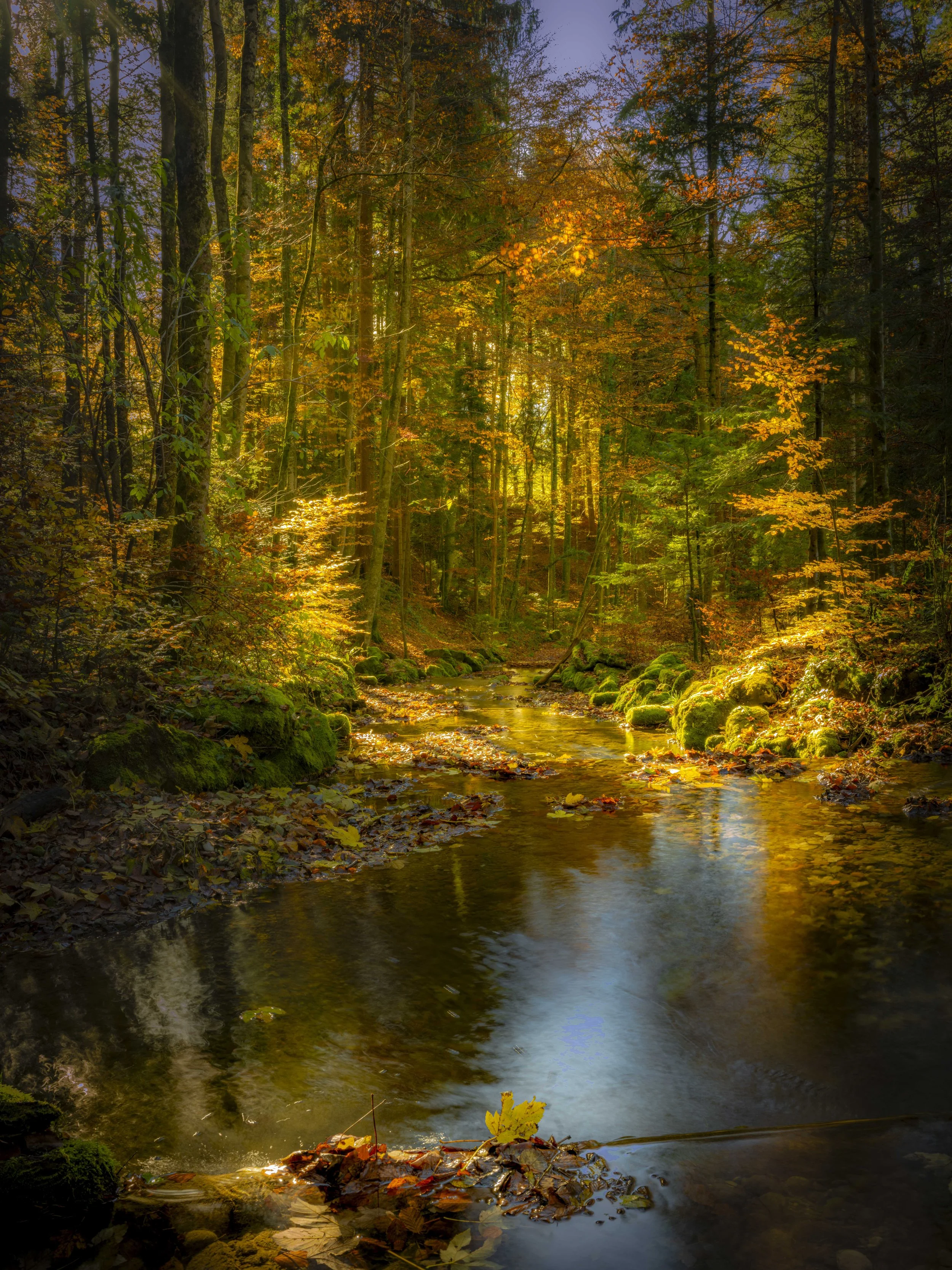 DSCF5924.jpg