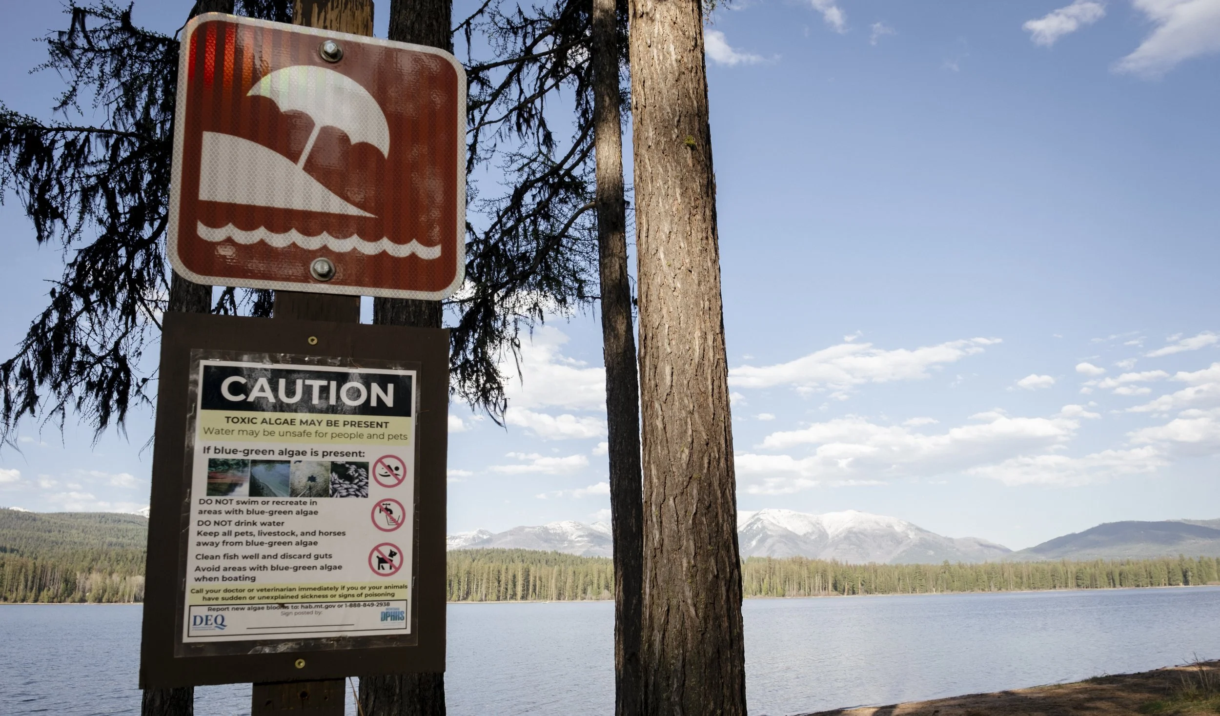 rate that is quite dangerous, when paired with a warming climate, according to Jeanna Miller, supervisor of the Missoula Public Health Center. More blue-green algae blooms have been noticed in the past few summers then ever, which have been proven t