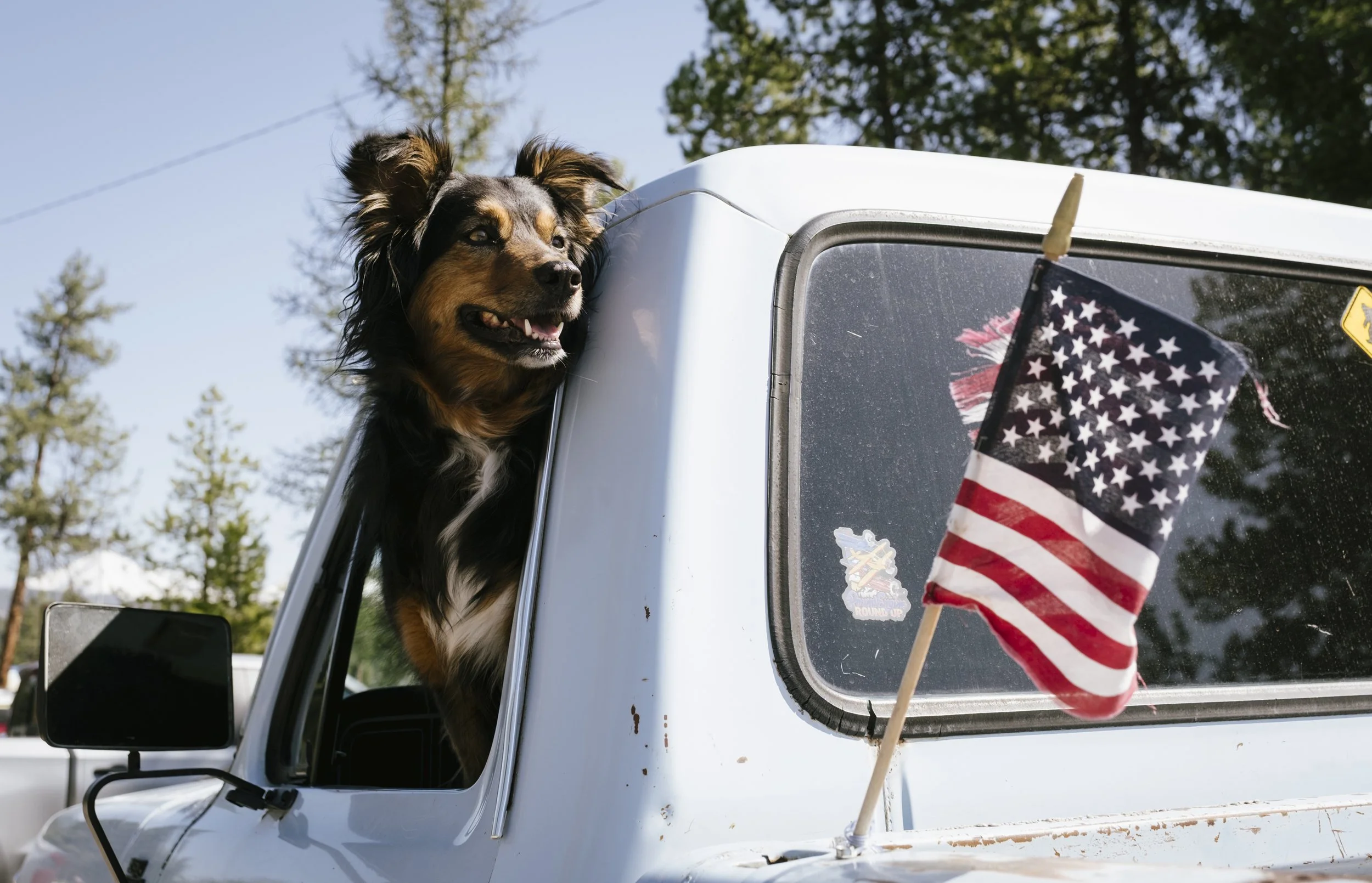 Mike Lindermiers dog sits in the drivers seat of his truck on May 3.