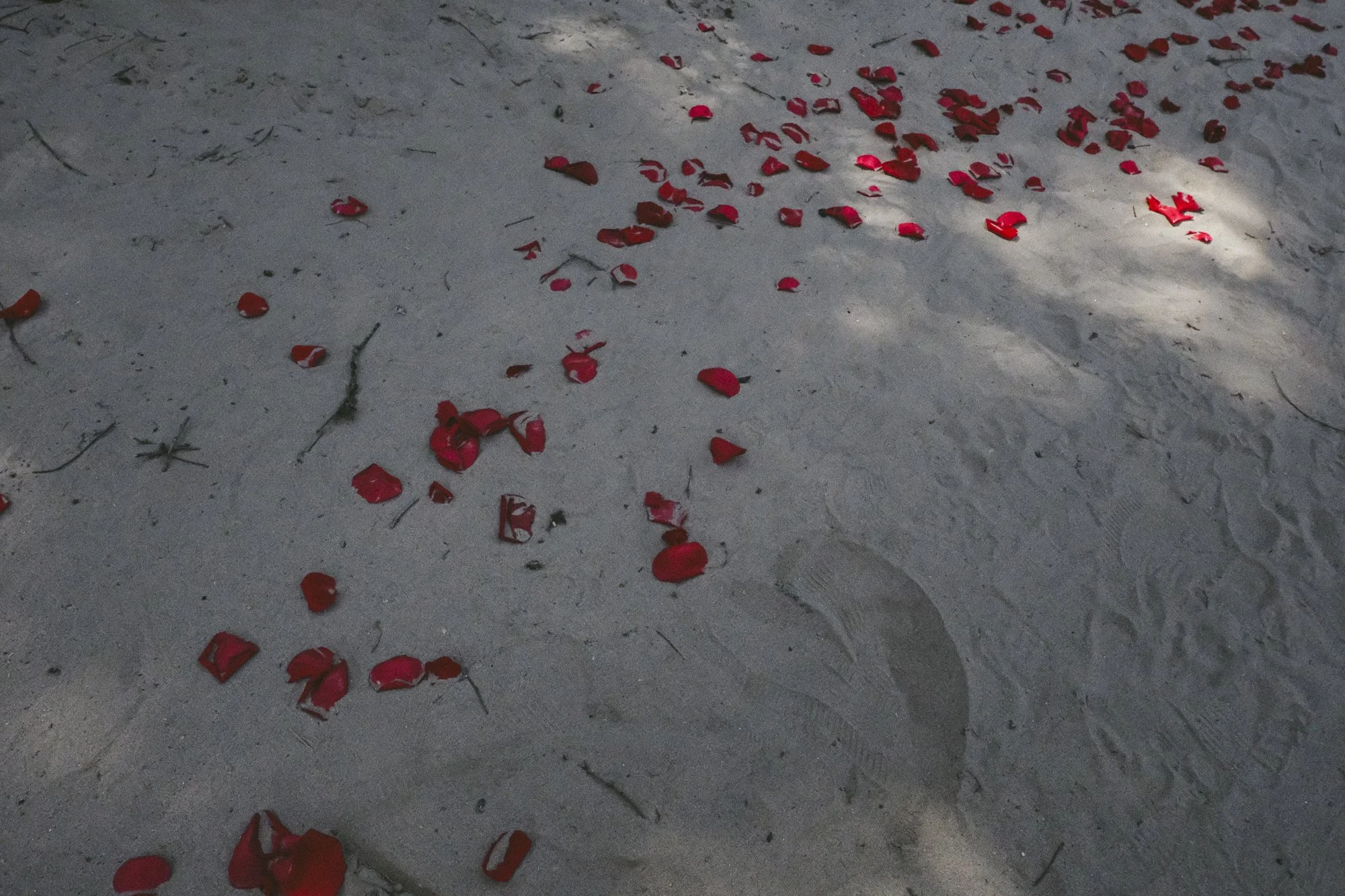 Matlock Wedding-135.jpg