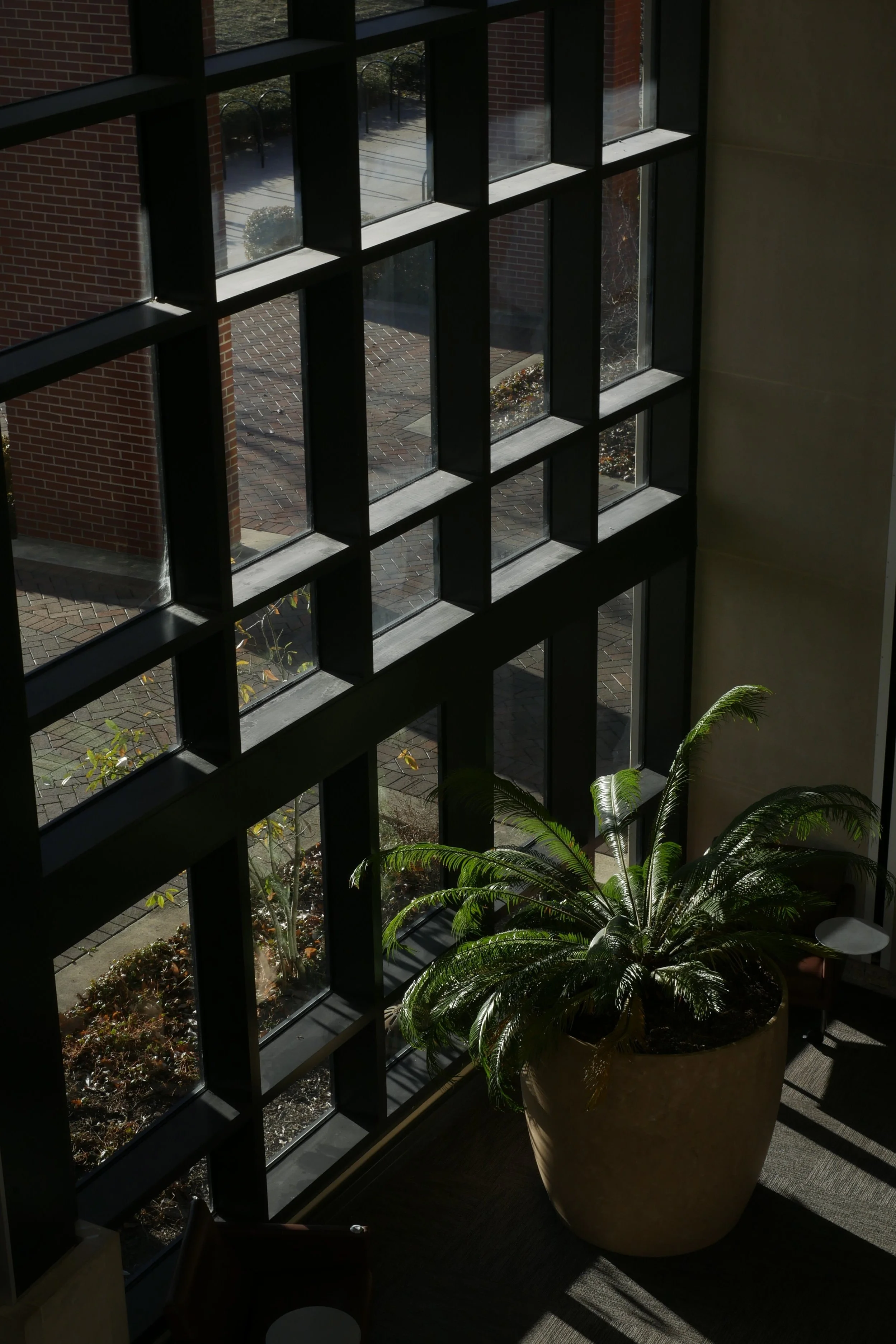 _1120454.jpg