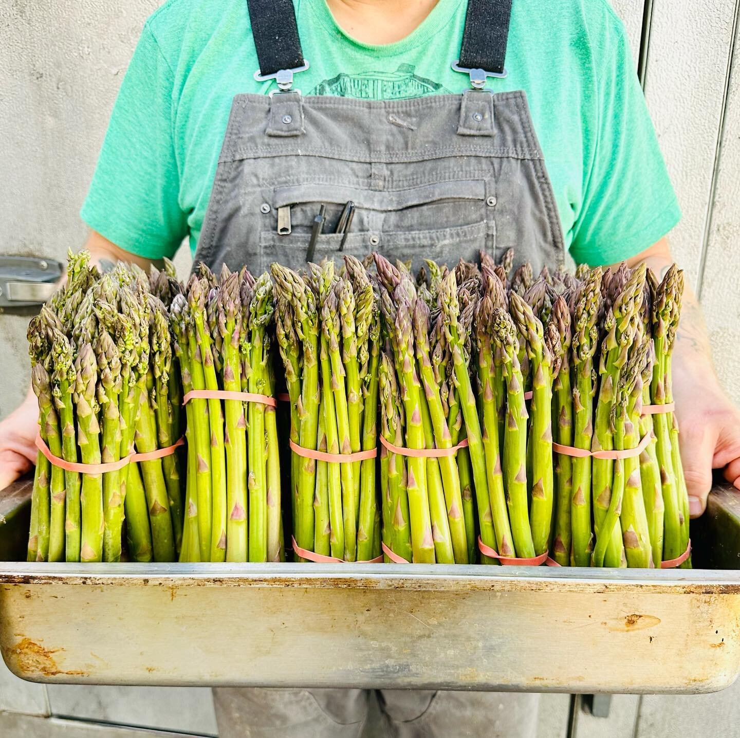 Starting today you can add NJ asparagus to your mushroom grilled cheese thanks to Flaim Farms!!!

You&rsquo;ll be seeing this beautiful asparagus pop up in your breakfast salad and in other menu items real soon! 

#springhassprung #asparagus #mariasb