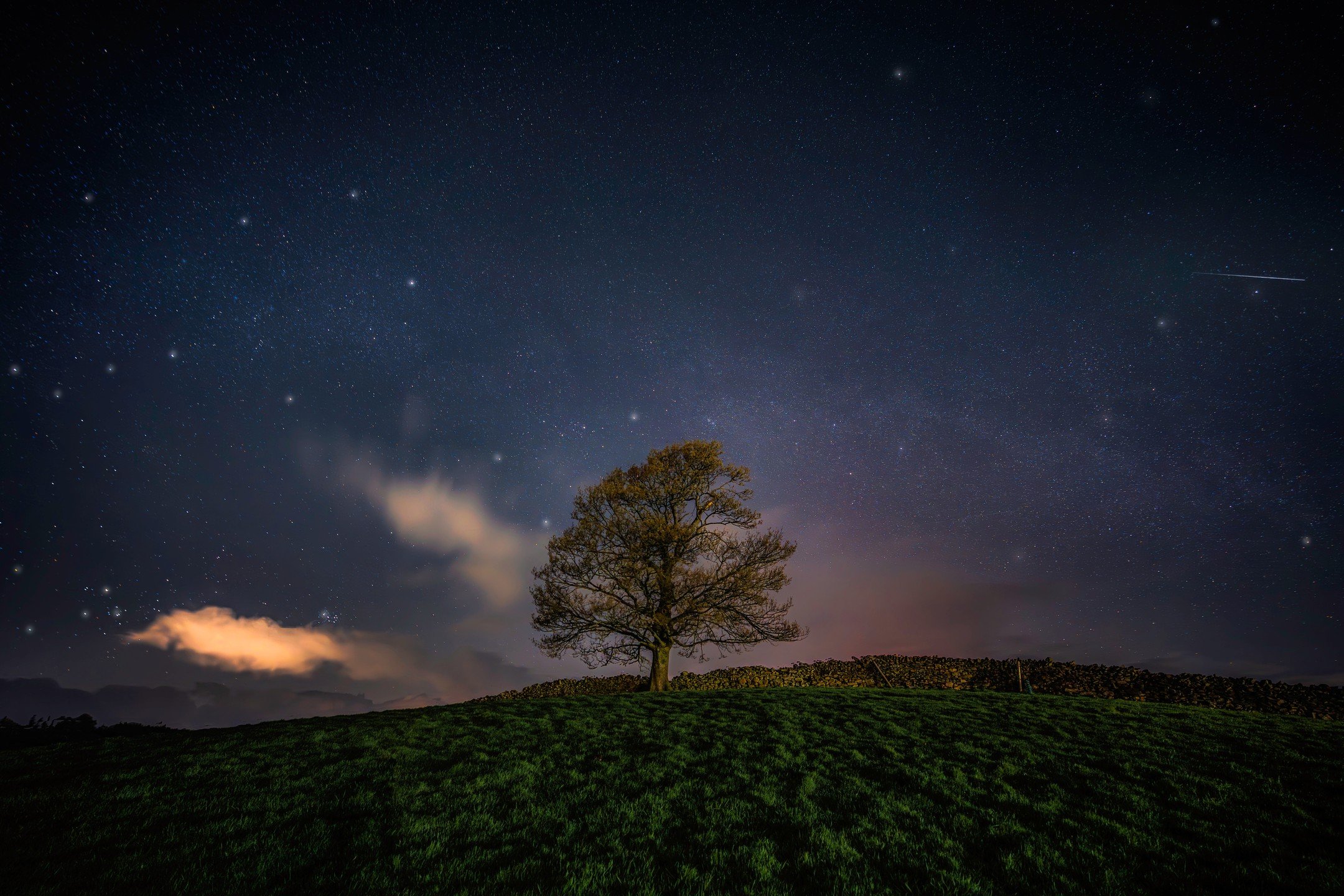 Burneside Oak Tree tonight - first time we've had clear skies for sometime! Really nice faint Milky Way and a shooting star tonight.⁣
⁣
#nightime #astrophotography #sonyshooter #astromilkyway #milkyway #sonyalpha #thestormhour #nighttimephotography #