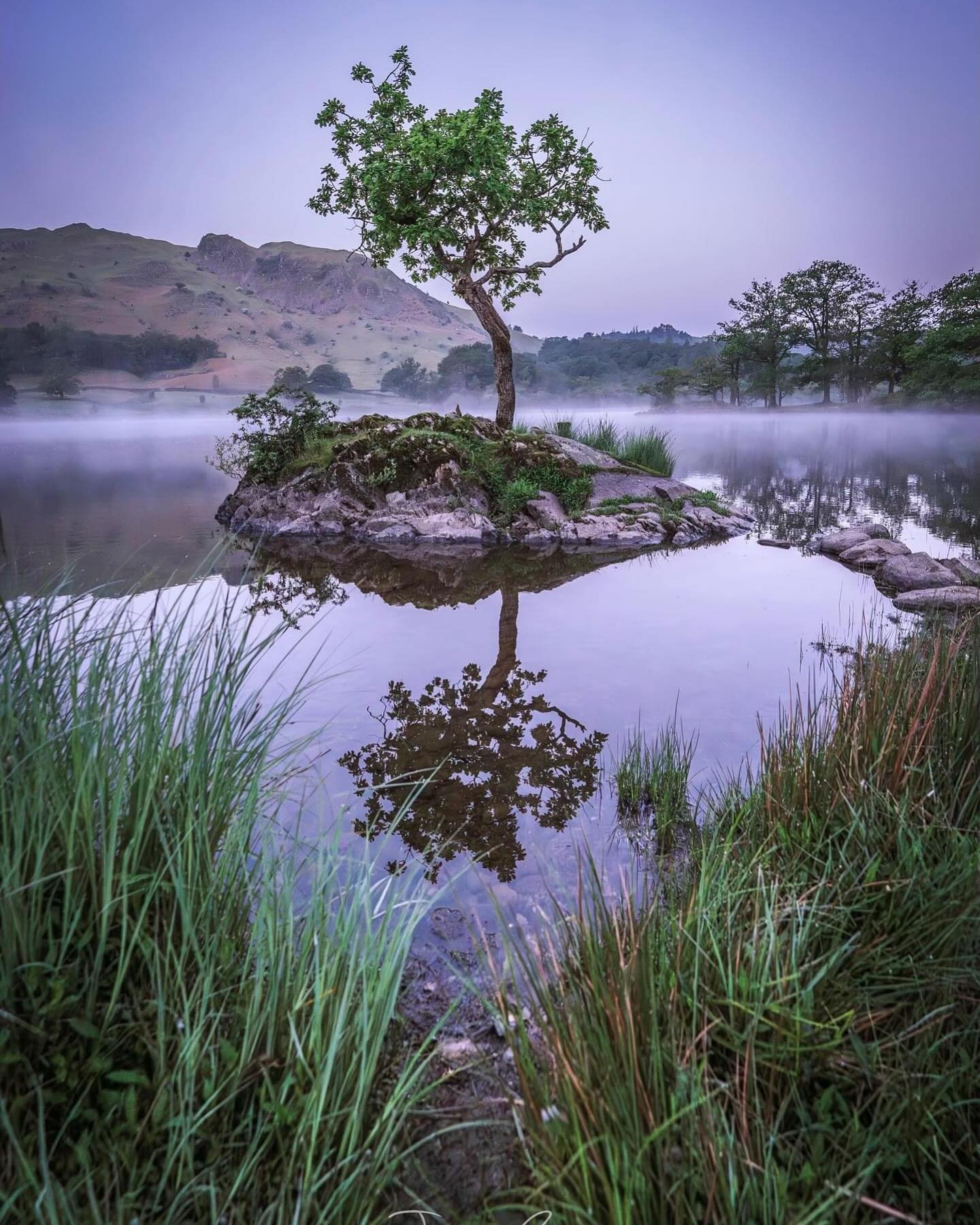 Rydal Mist
On the way to #Derwentwater for some reflections and mist when I came upon a lot of mist and just had to stop!! Always very boggy and hard to get a good reflection of this lone tree but I think this works well with background mist. 

laked