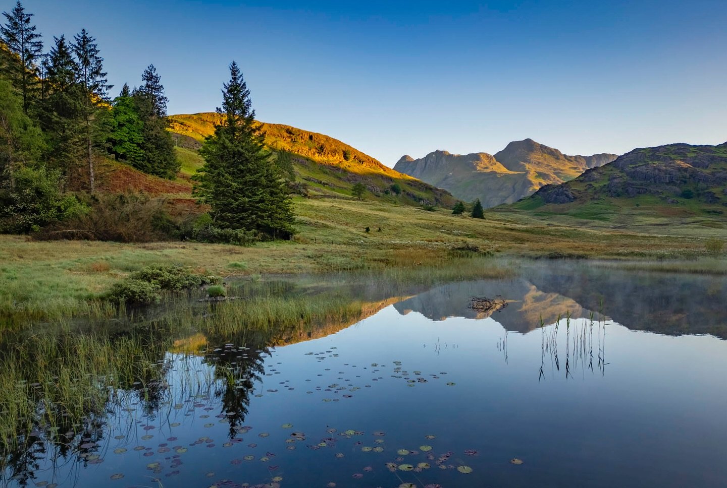 MIST and LILIES of Blea Tarn last week. A different view of a very popular photographed location. 

#lakedistrict #thelakedistrict  #bealpha  #visitengland #folkgreen #photosofbritain #bbcearth #earthoutdoors #roamtocreate #excellent_britain #planete