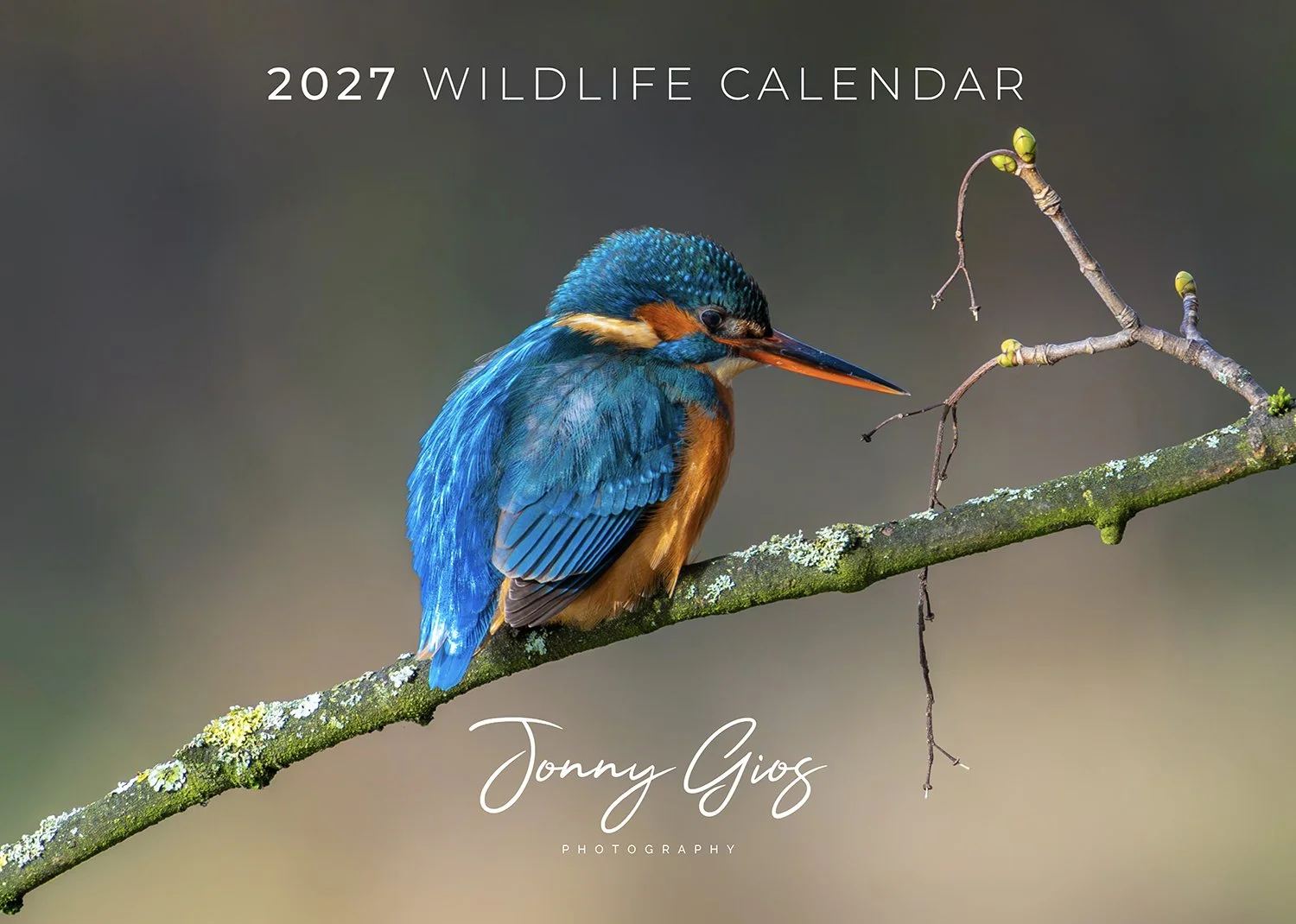 SPJ218368 Jonny Gios Calendar WILDLIFE 2027 RICOH PROOF_Page_01.jpg