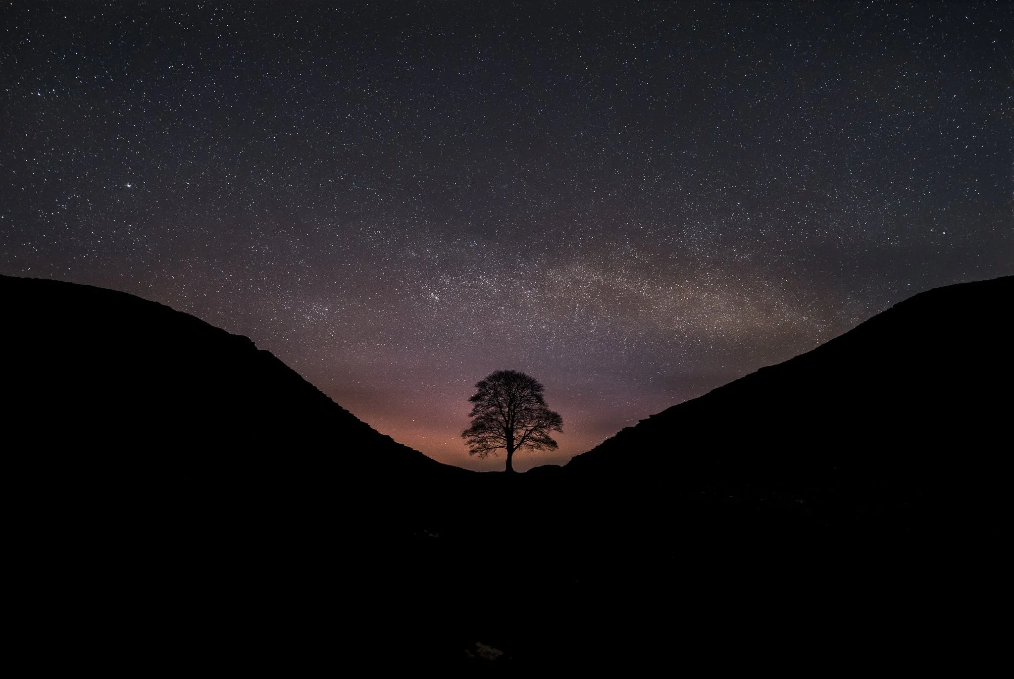 A silhouette of a tree between two hills under a star-filled night sky with the Milky Way visible.