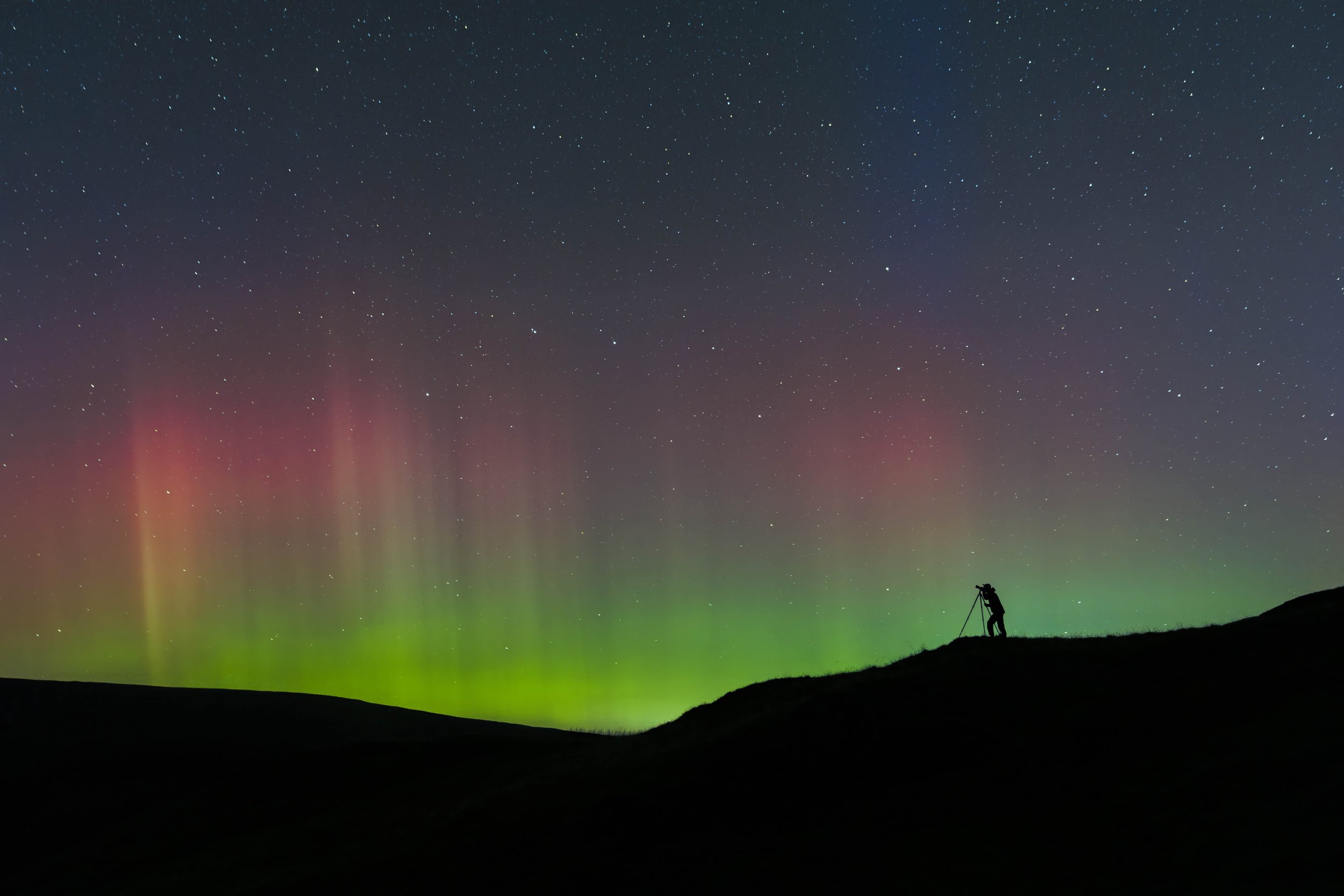 Aurora Surprise