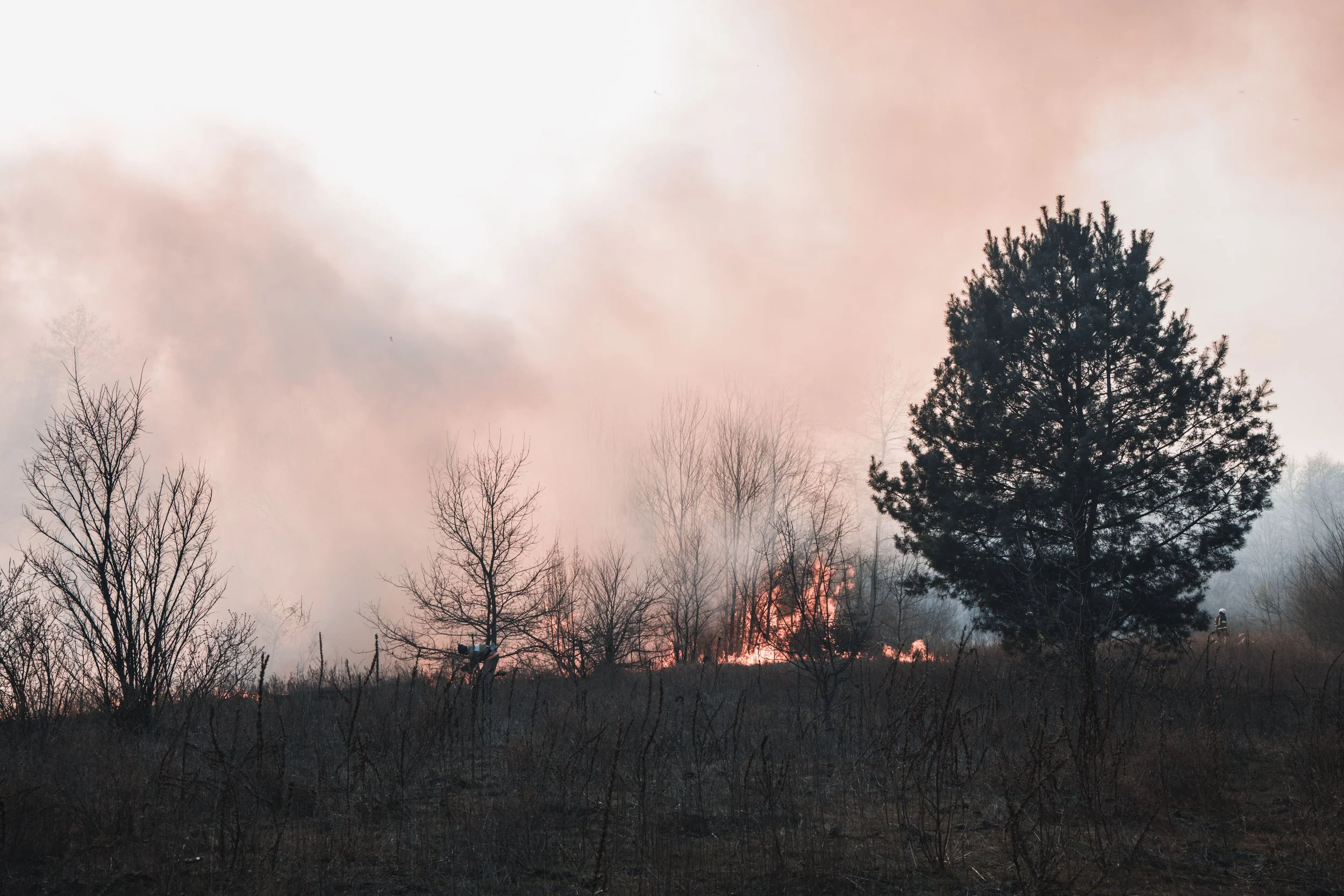 Wildfire Smoke Is More Than a Lung Issue