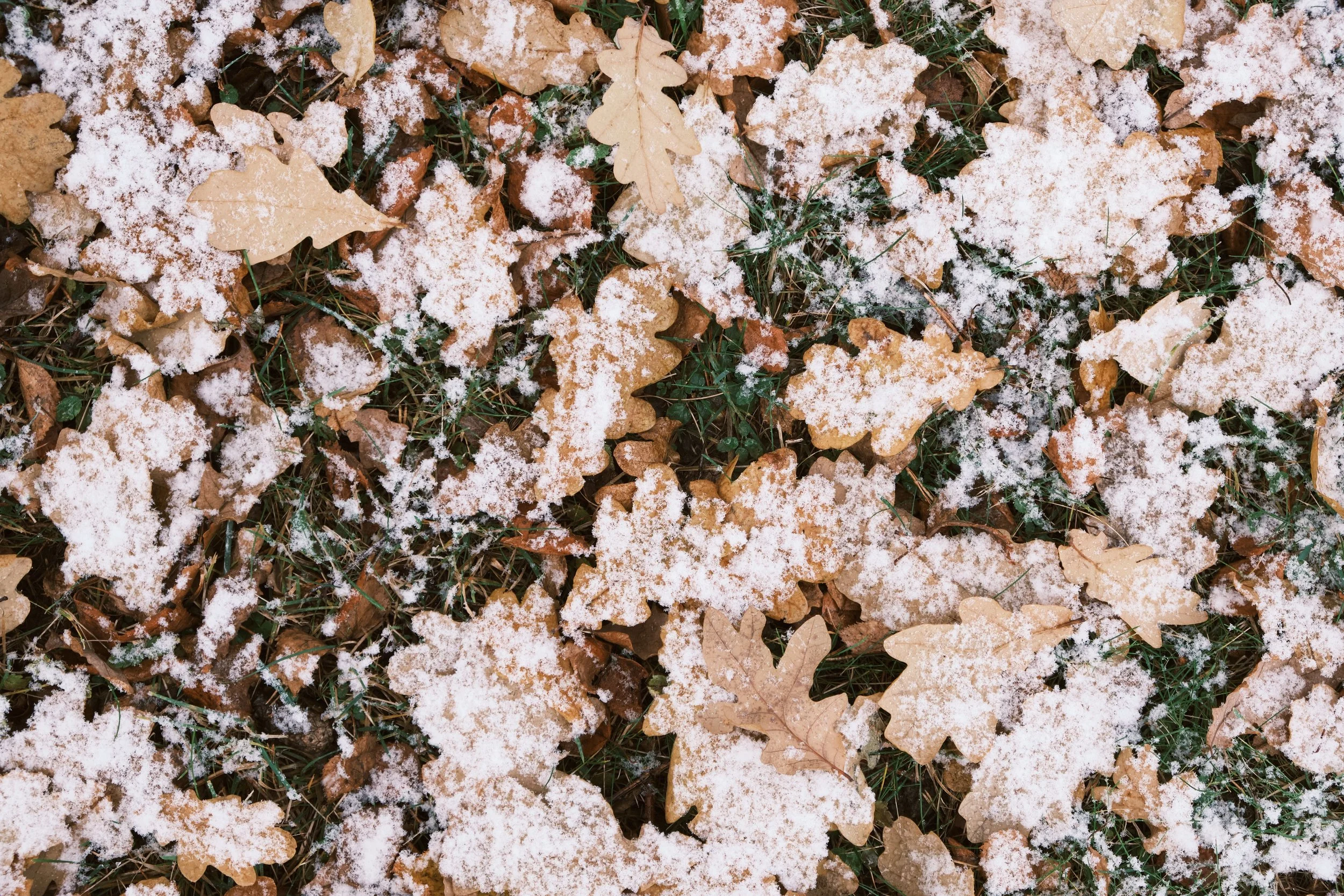 How to Winter: Can Changing Your Mindset Change Your Experience of Winter?