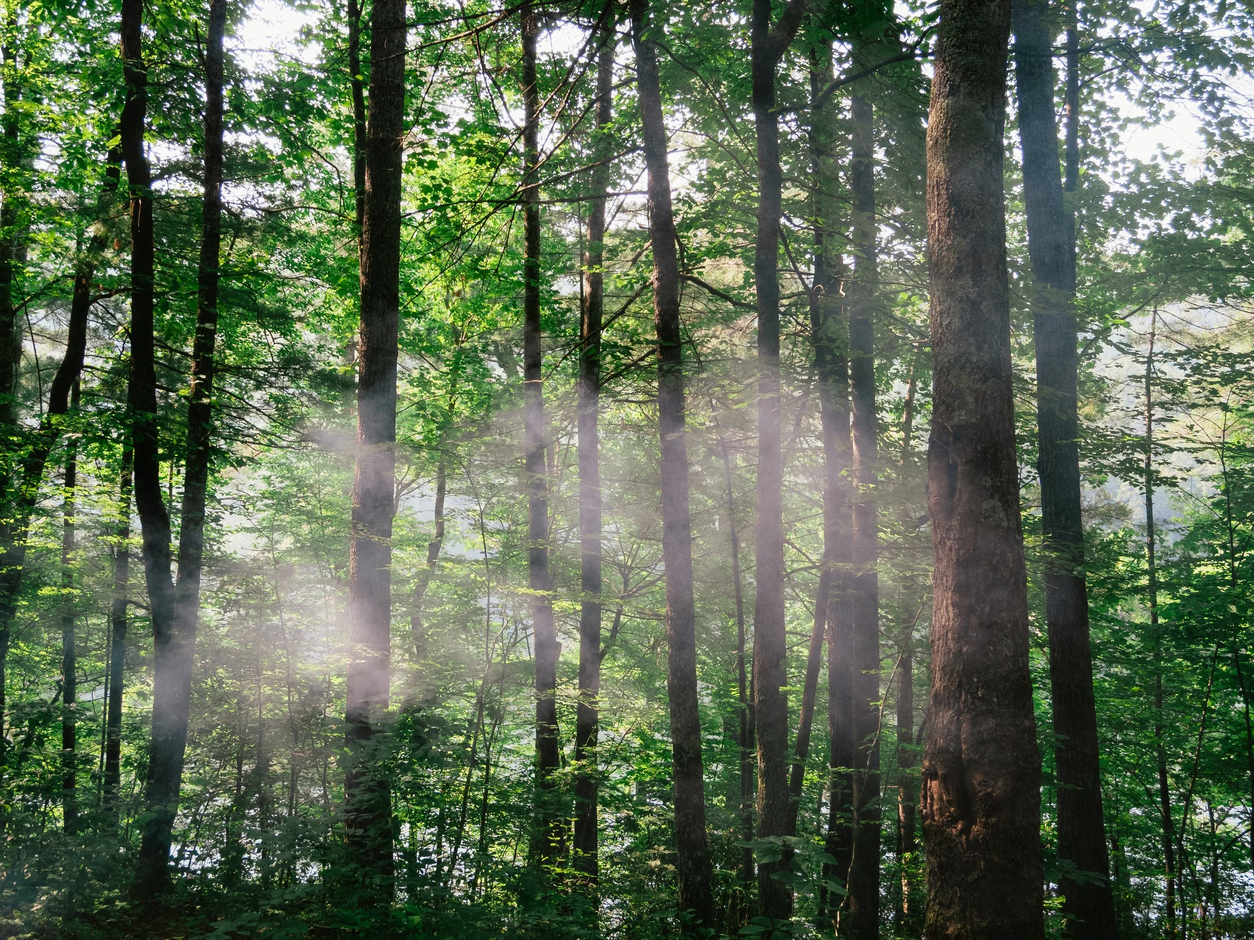 DSCN2220-2.jpg