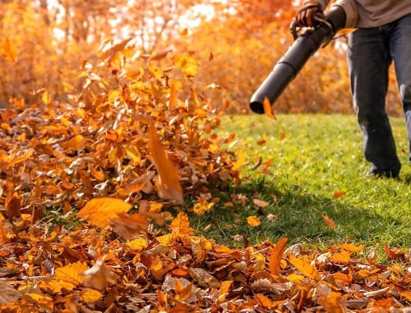 Leaf Removal and Fall Cleanup Service in Goochland Main Image