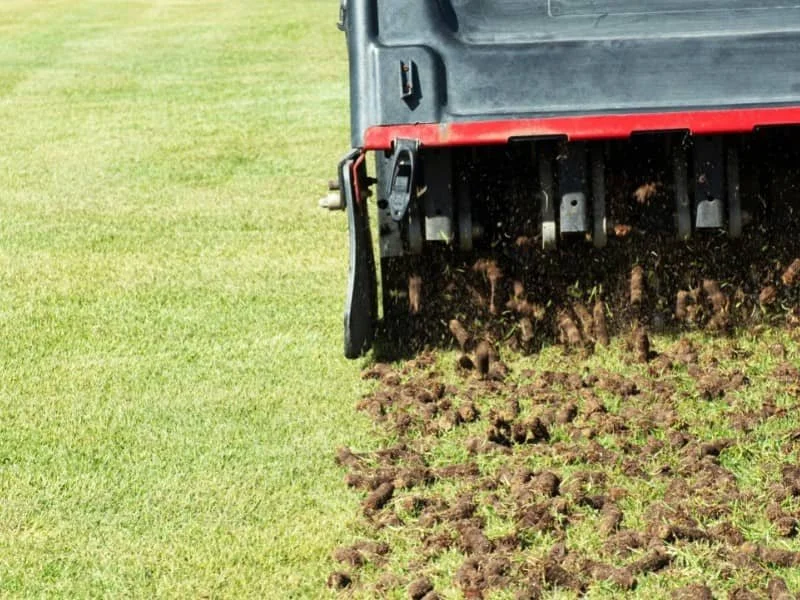 Lawn Aeration & Overseeding Service in Goochland Main Image