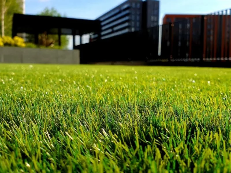 Lawn Mowing Services - Midlothian Virginia