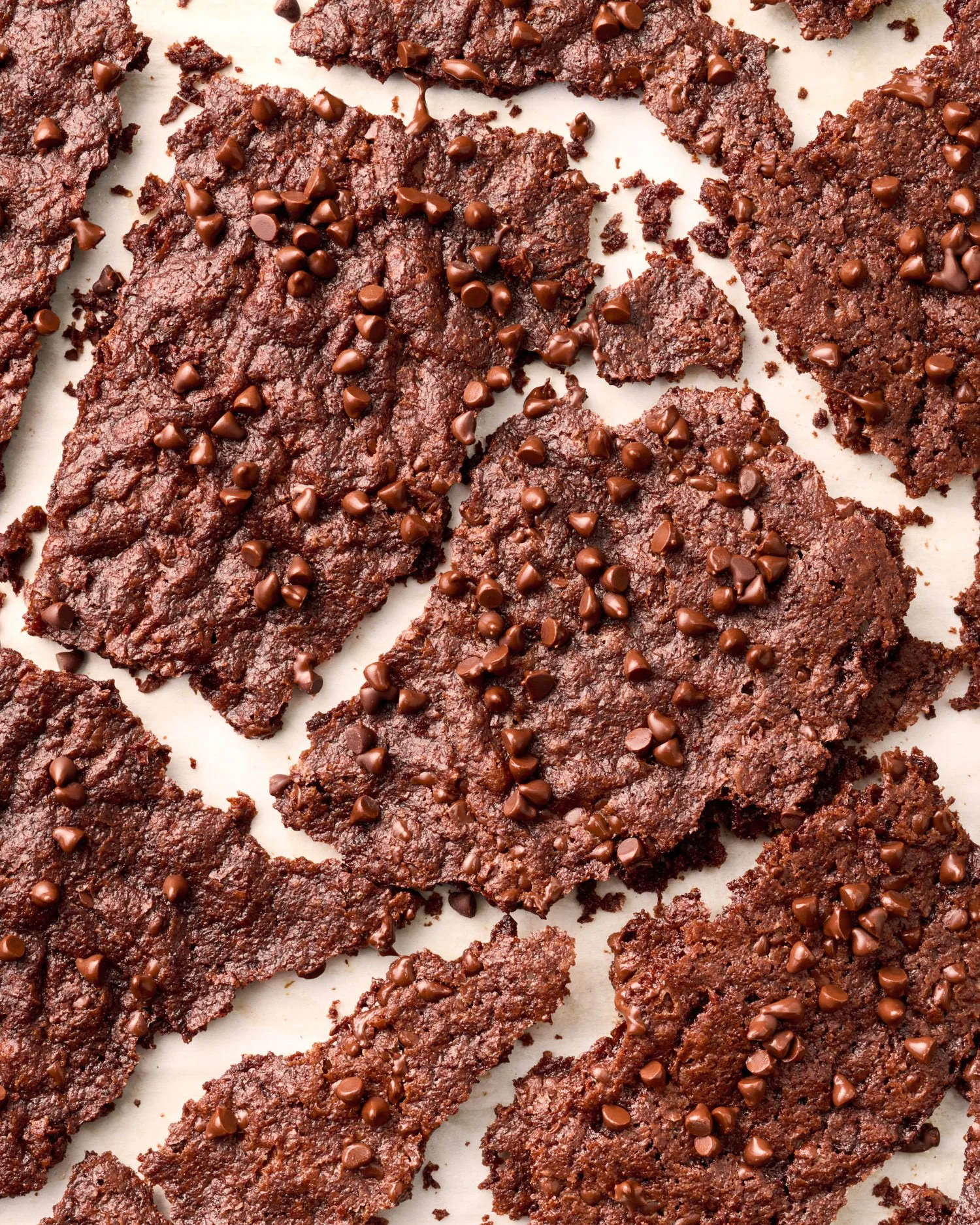 Brownie Chocolate Chip Thins