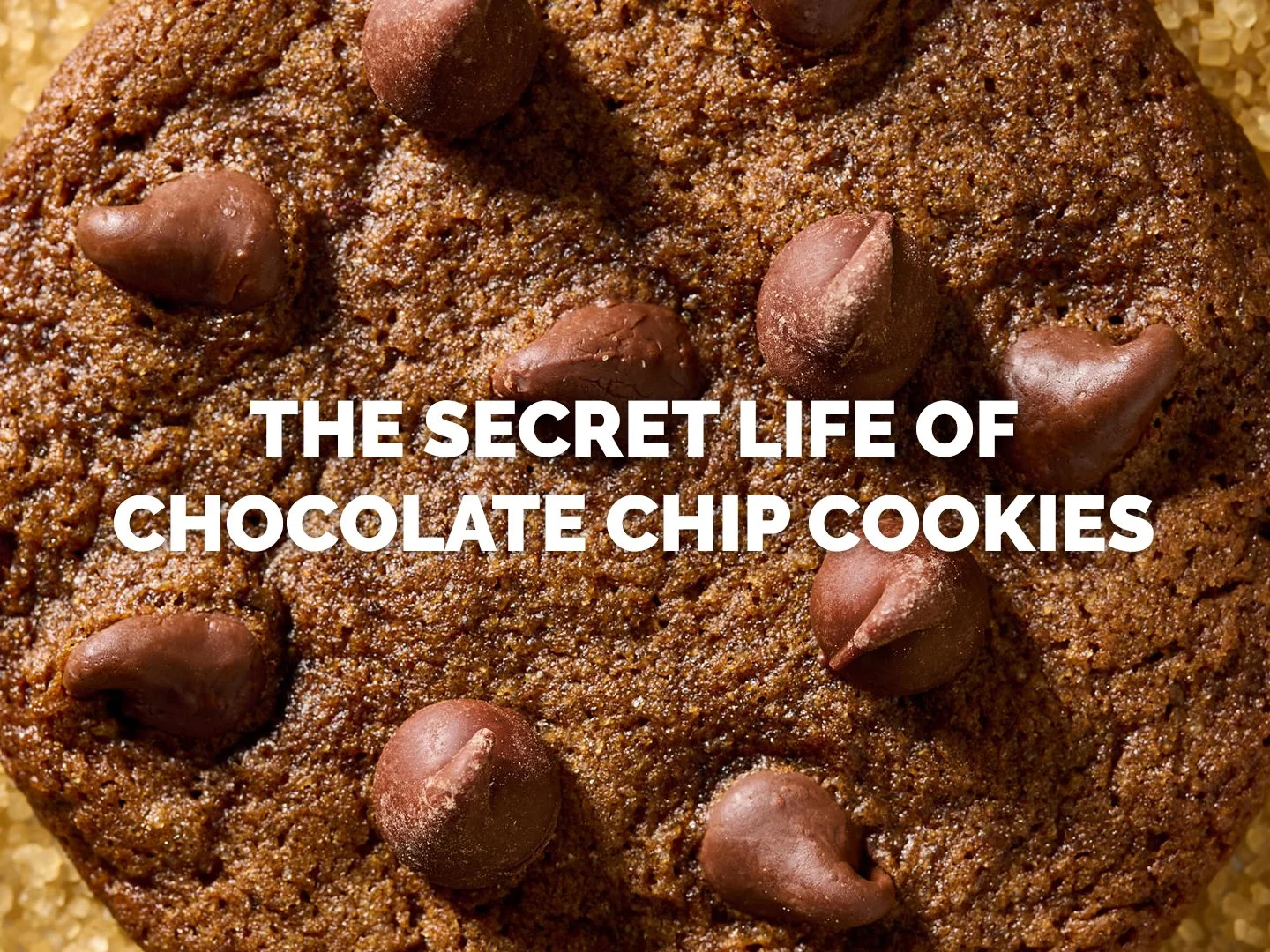 secret-life-of-chocolate-chip-cookies-projects.jpg