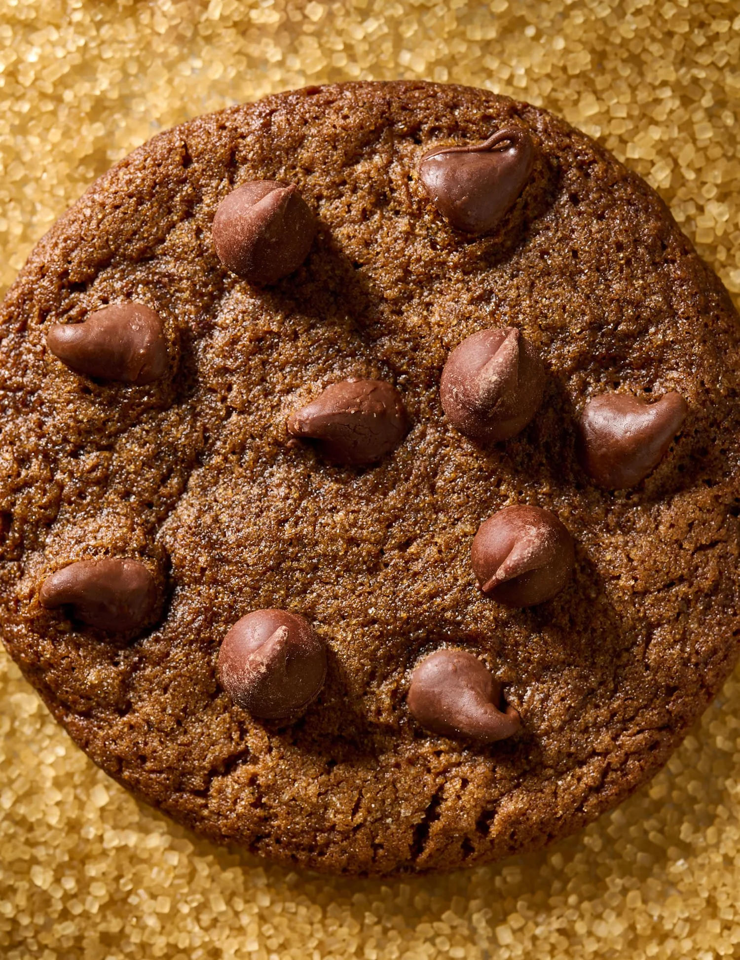 Chocolate Chip Ginger Snaps