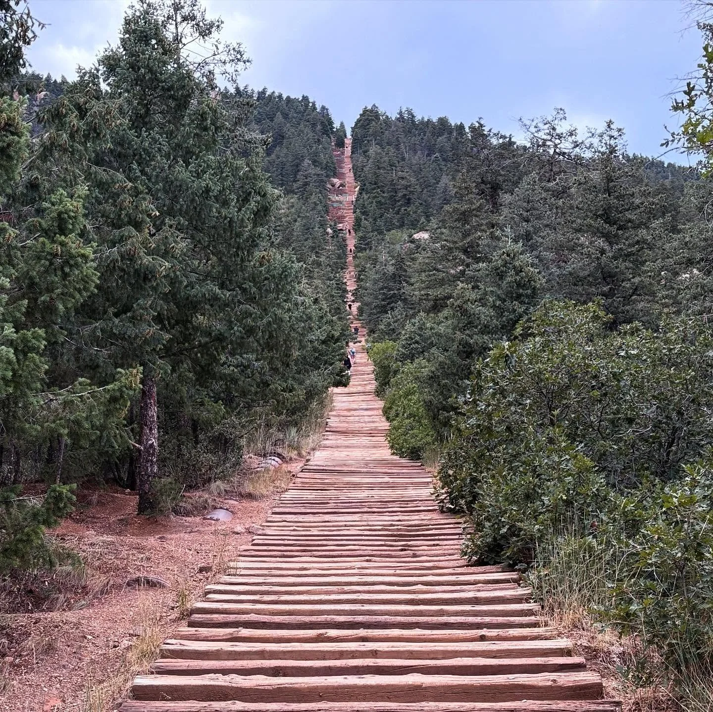 2,768 steps straight up a mountain! 🤩⛰️💪

#manitouincline #coloRADo #whilewereyoung
