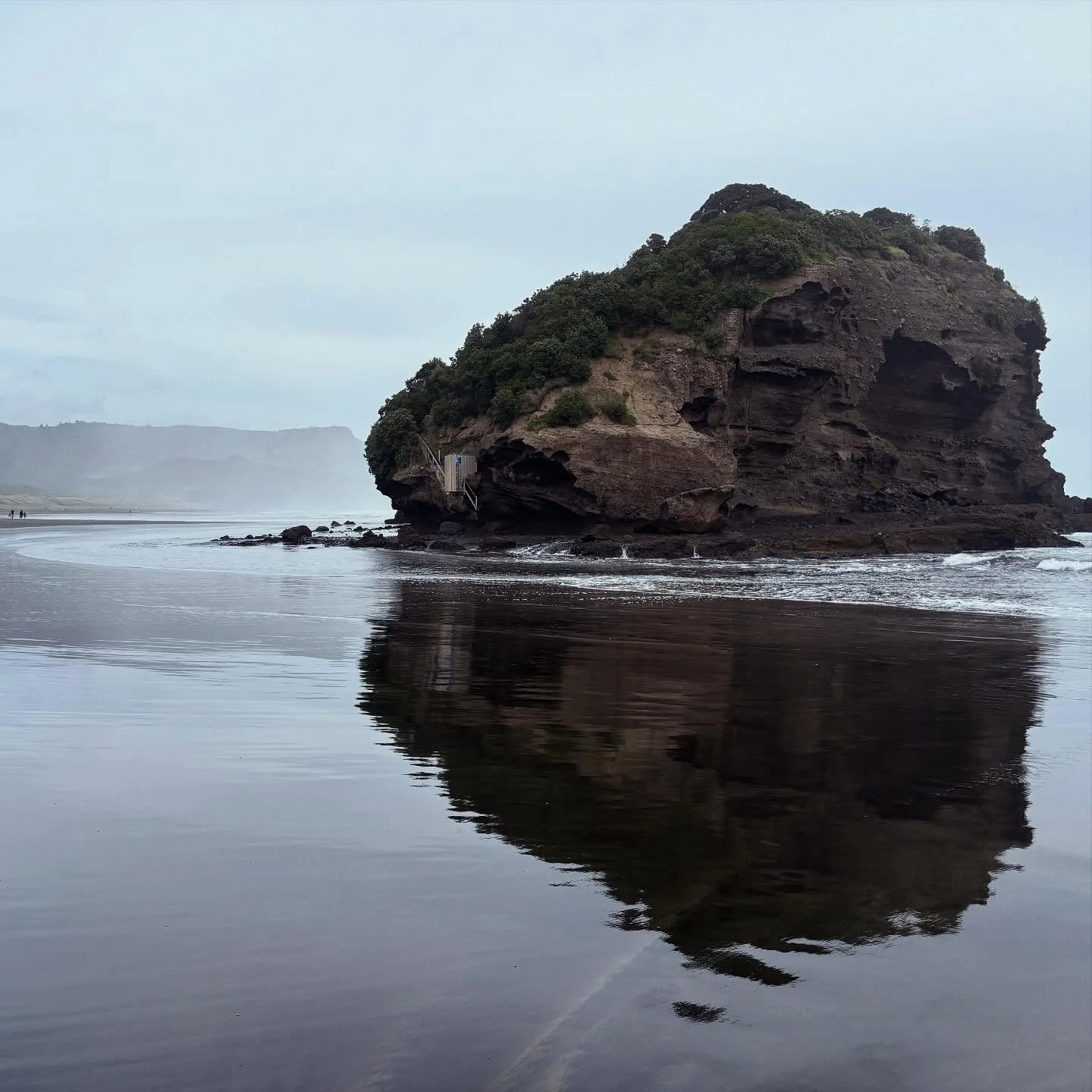 New Zealand batch 2! Beaches, city, lovely little towns, glowworm caves, mud baths, hobbit dwellings, pastures, delicious seafood, volcanic craters, boat rides, redwoods, new friends. Amazing birds and trees.

This was all mixed in with work days: ca