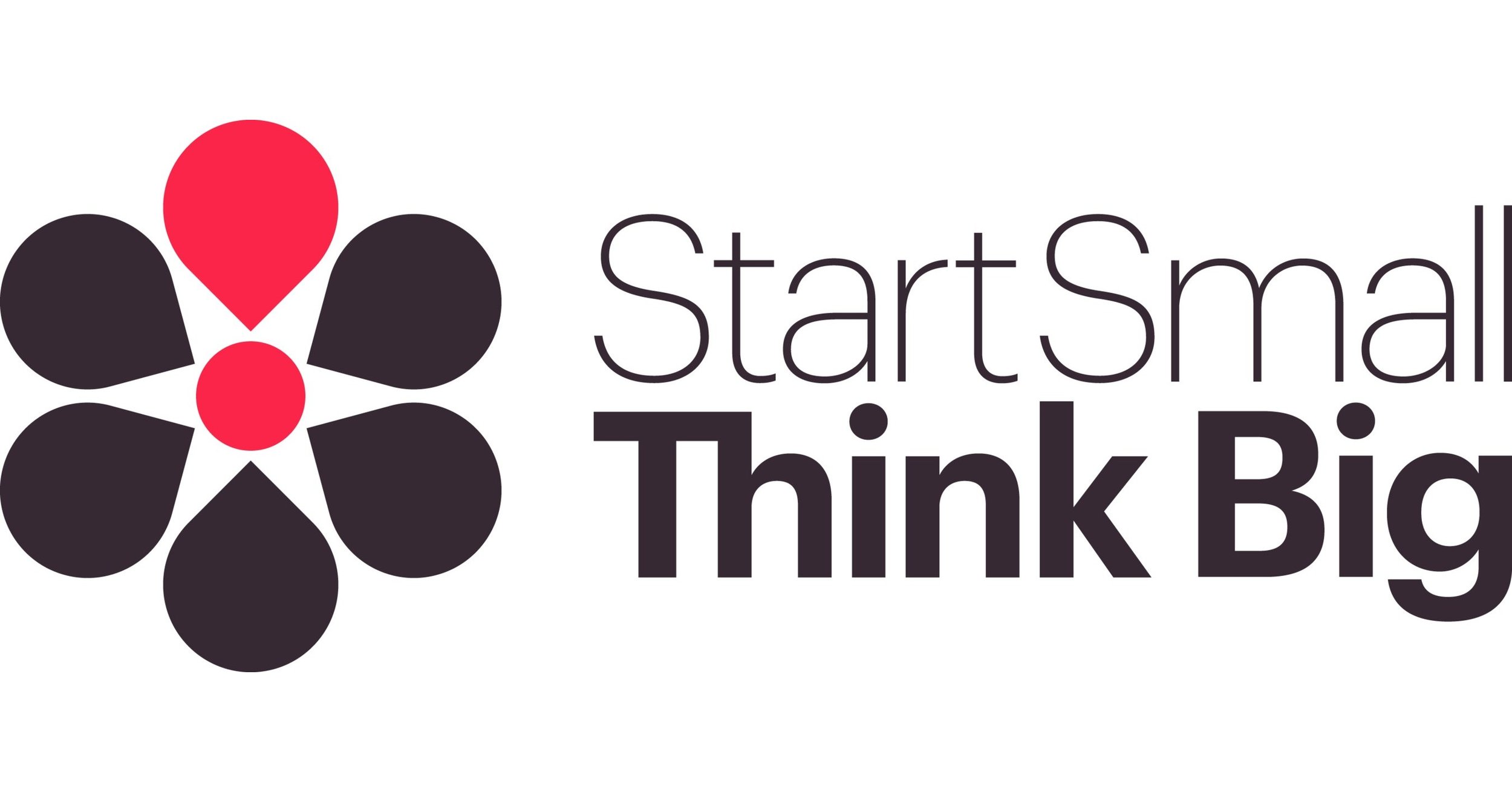 Start_Small_Think_Big_Logo.jpeg