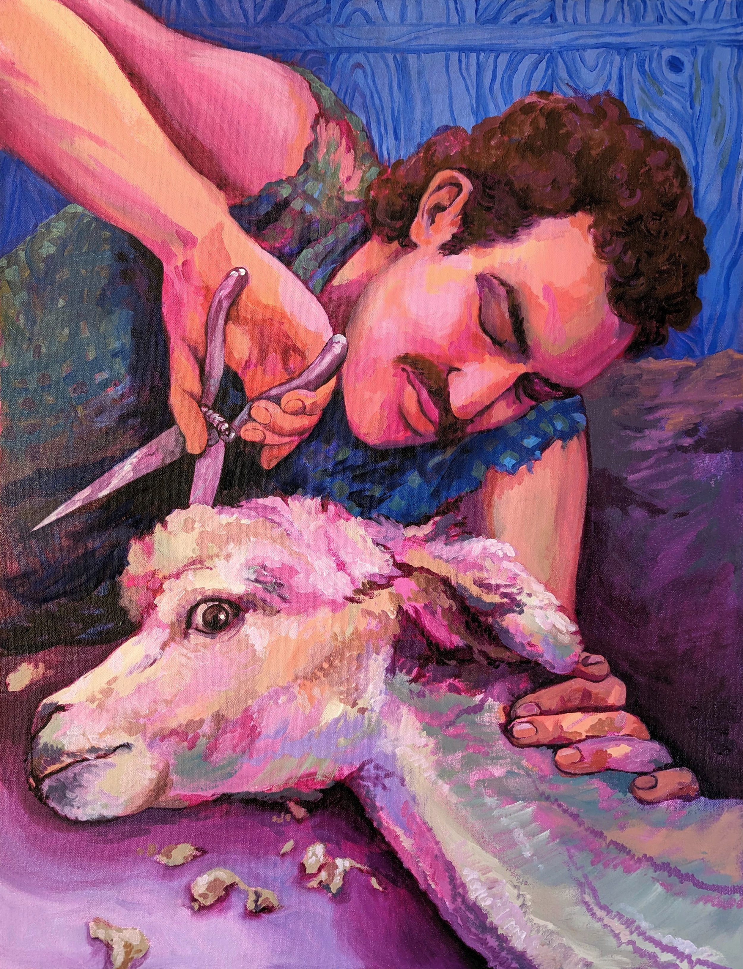  Cary Shearing Alpaca  oil and acrylic on canvas  23”x30” 