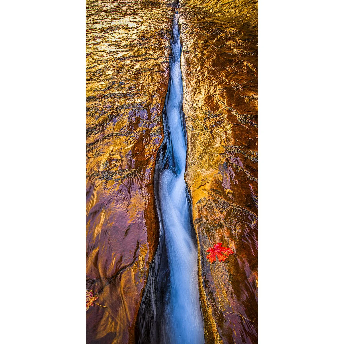 blueribbonredrock-.jpg