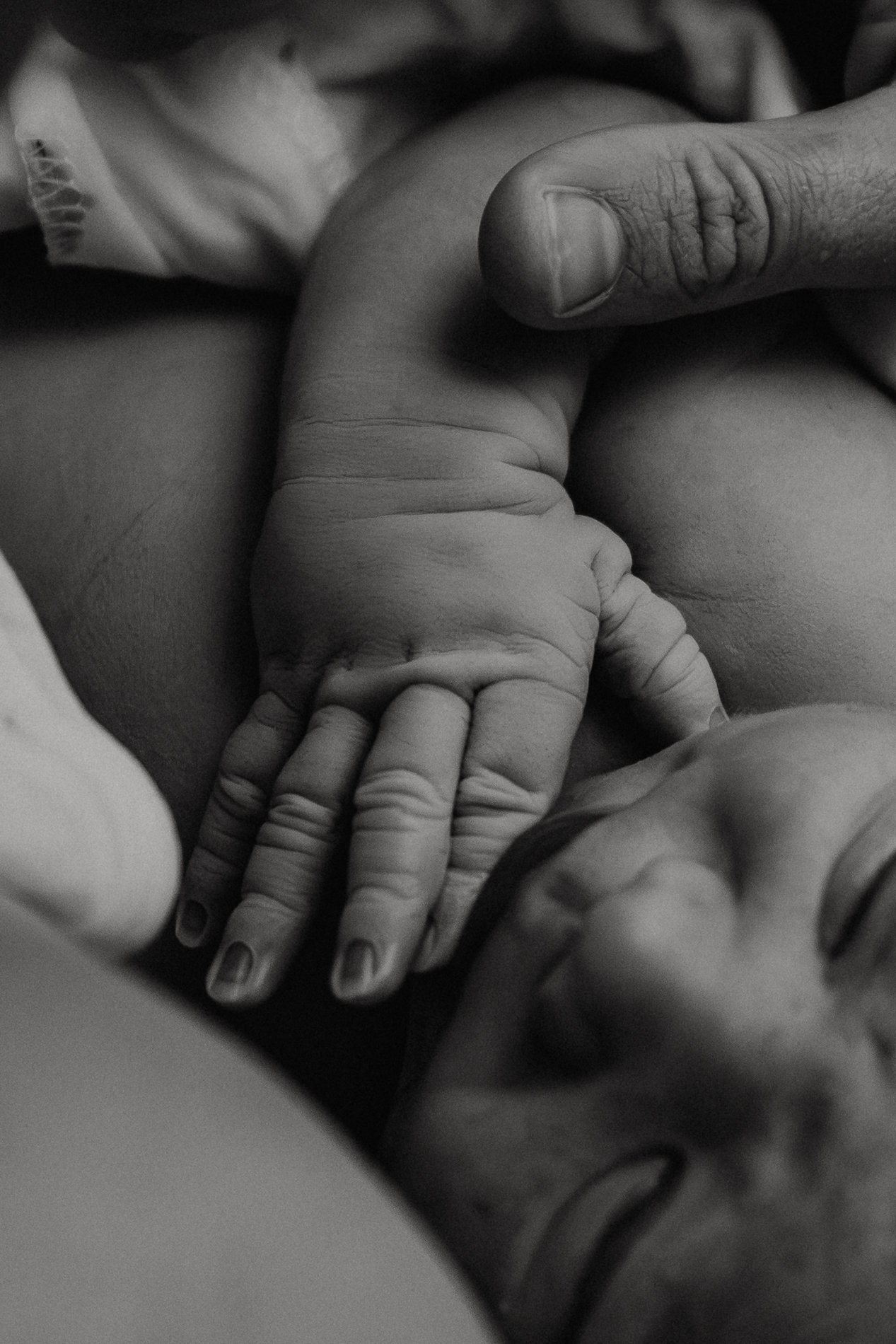 Close-up black and white photo of an adult hand holding a baby's hand.