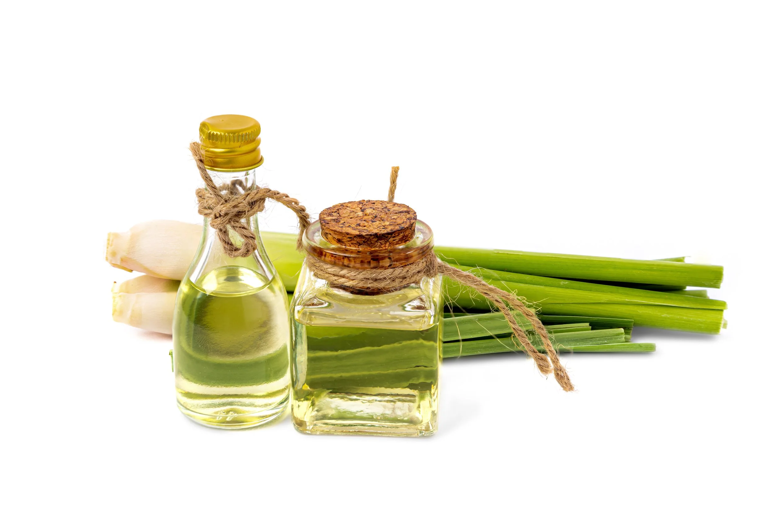 lemongrass essential oil.jpeg