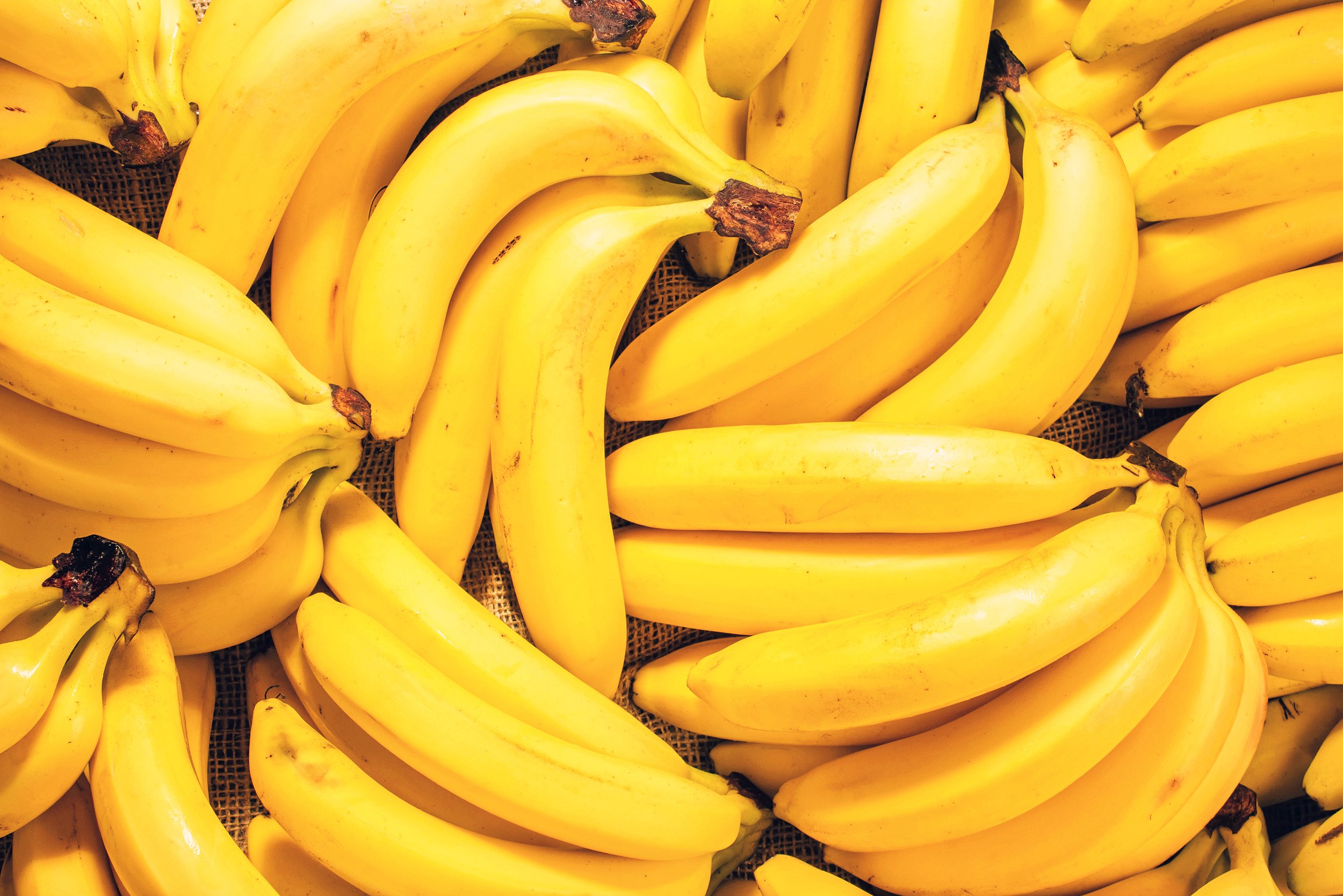 bananas sm.jpg