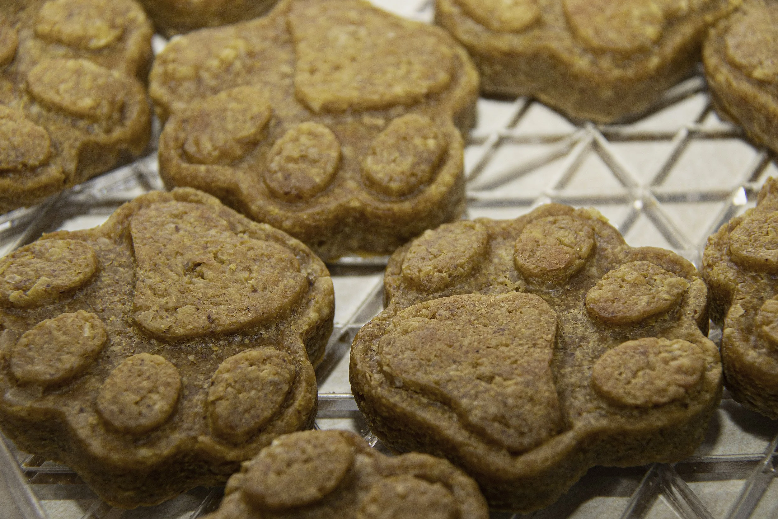 BANANA PUP COOKIES ON TRAY sm.jpg