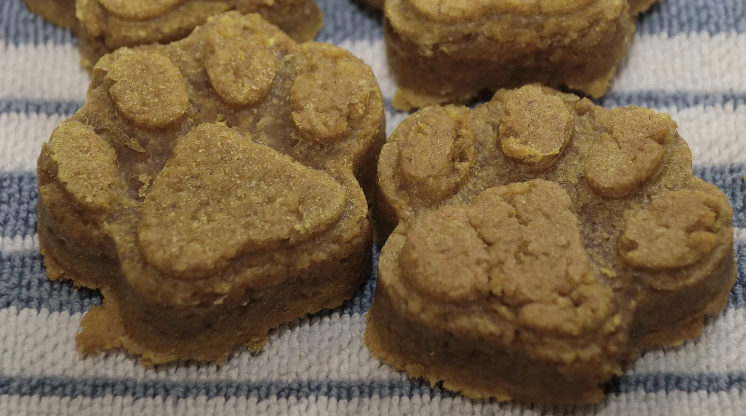 BANANA DOG COOKIES CLOSEUP sm.jpg