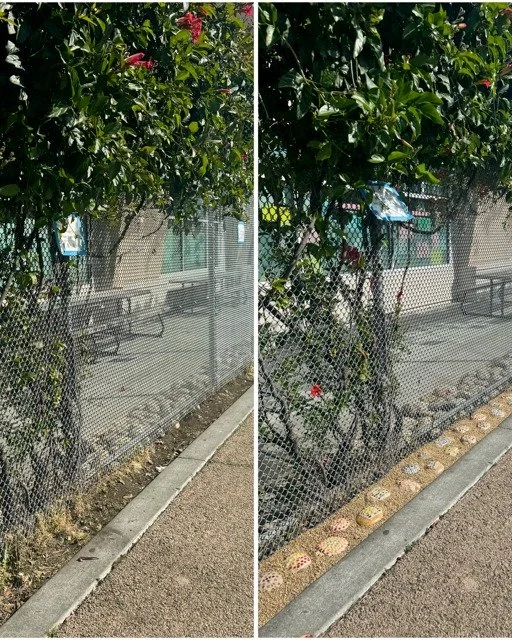 Thank you to the 175 student artists and volunteers who created mosaics, made wishes and planted rocks as part of the 5th grade class gift: A new mosaic garden at Lincoln Square Park in #OaklandChinatown! 

The ribbon of mosaic rocks will cut down on